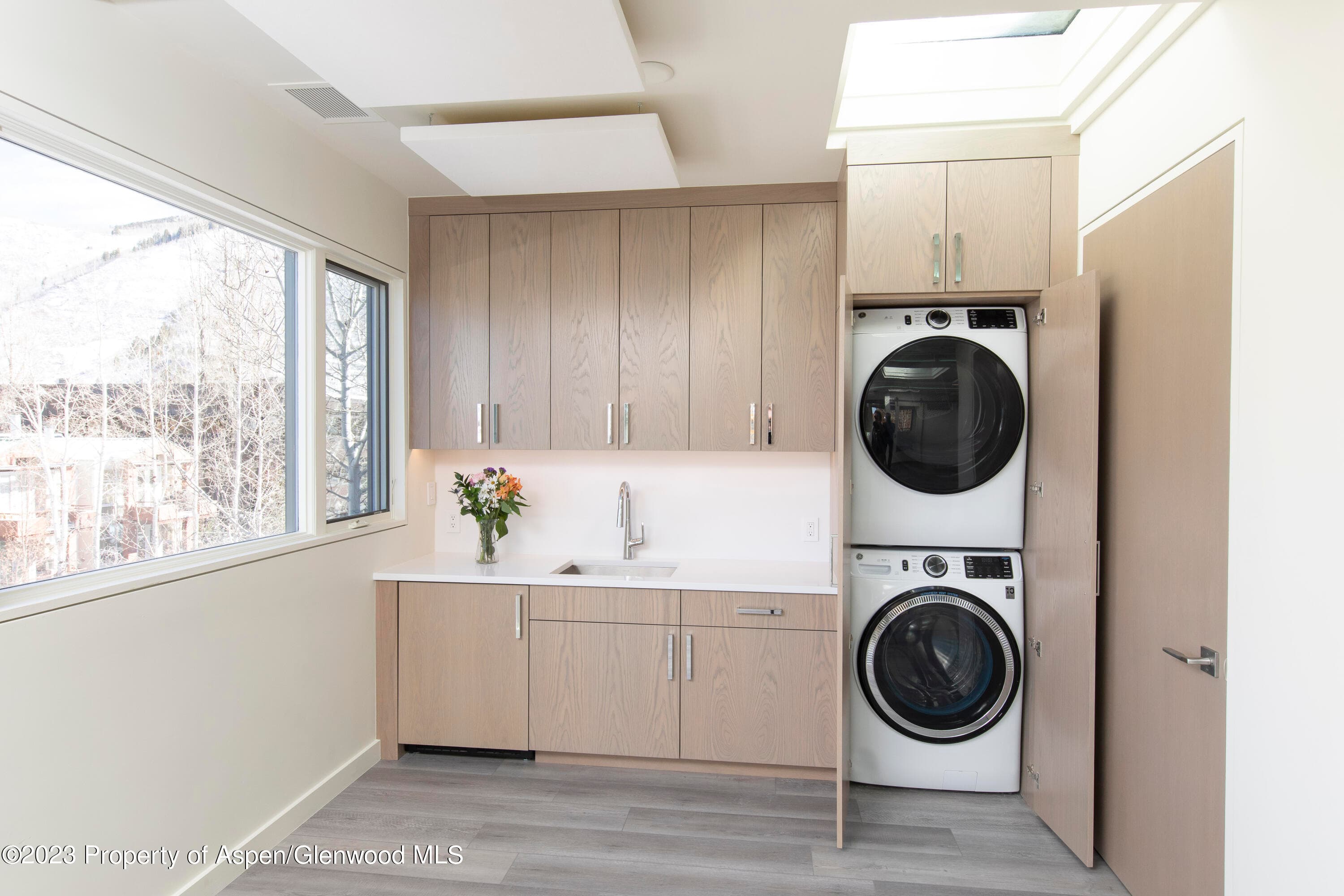 300 S Spring Street 301, Aspen, CO 81611 - Photo 13