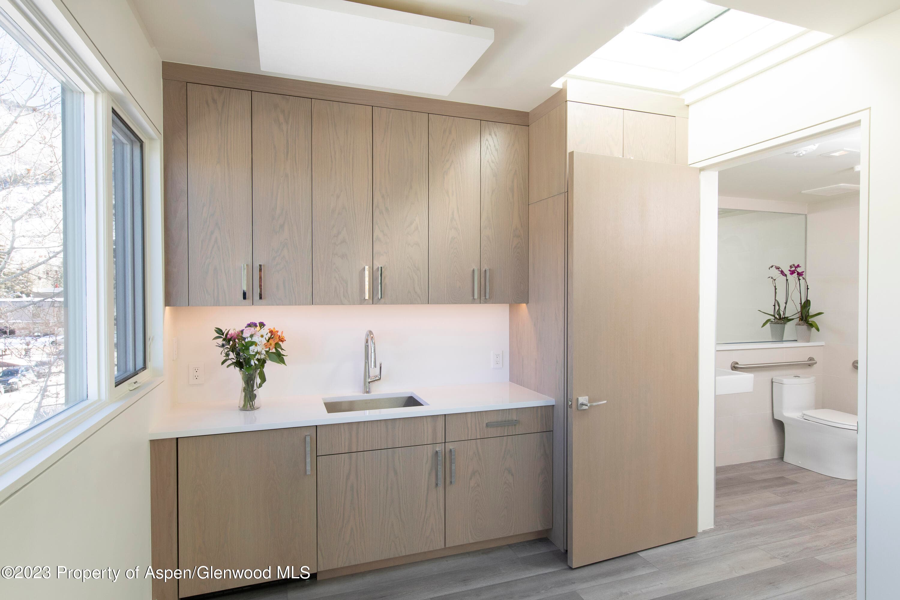 300 S Spring Street 301, Aspen, CO 81611 - Photo 14