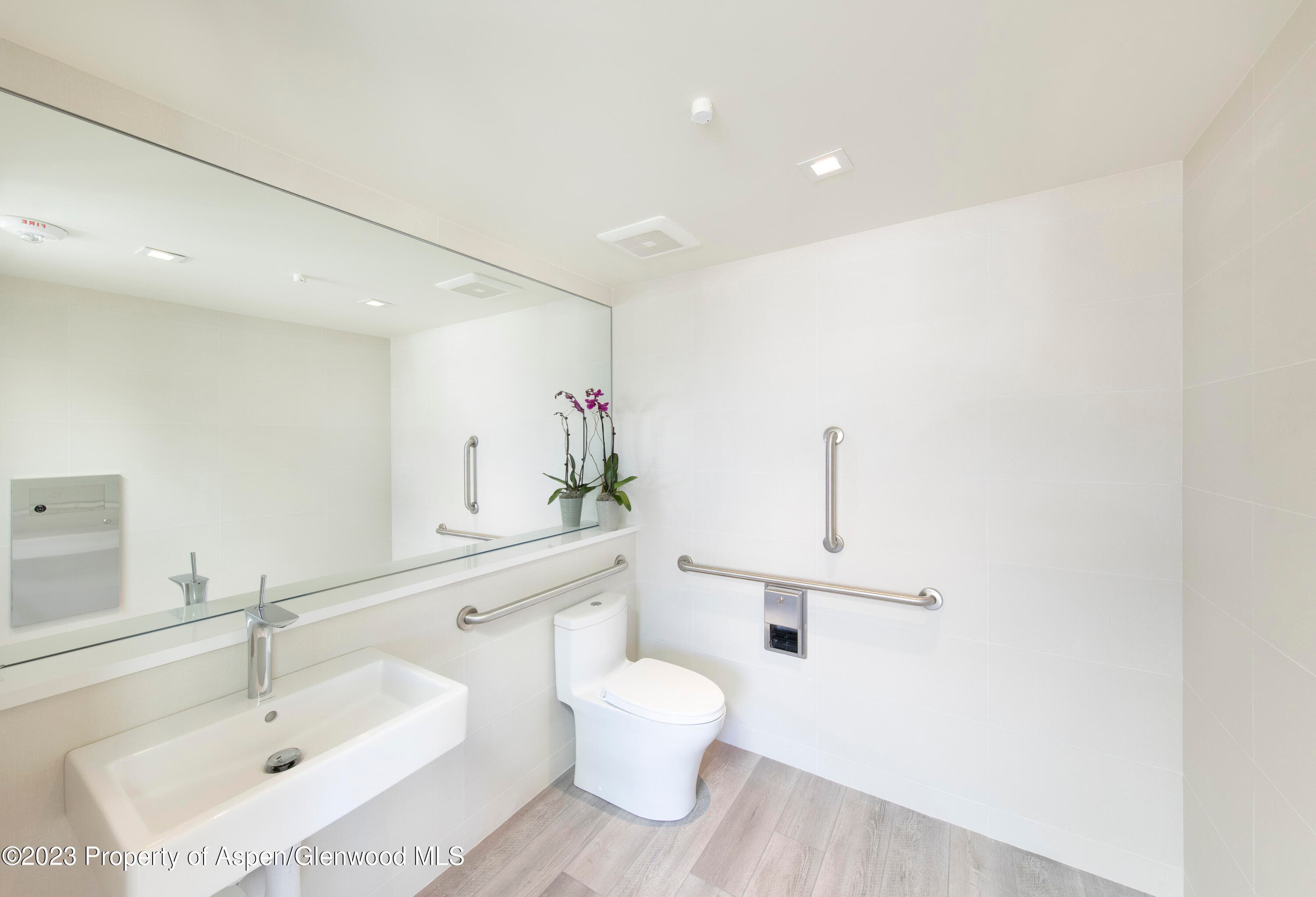 300 S Spring Street 301, Aspen, CO 81611 - Photo 15