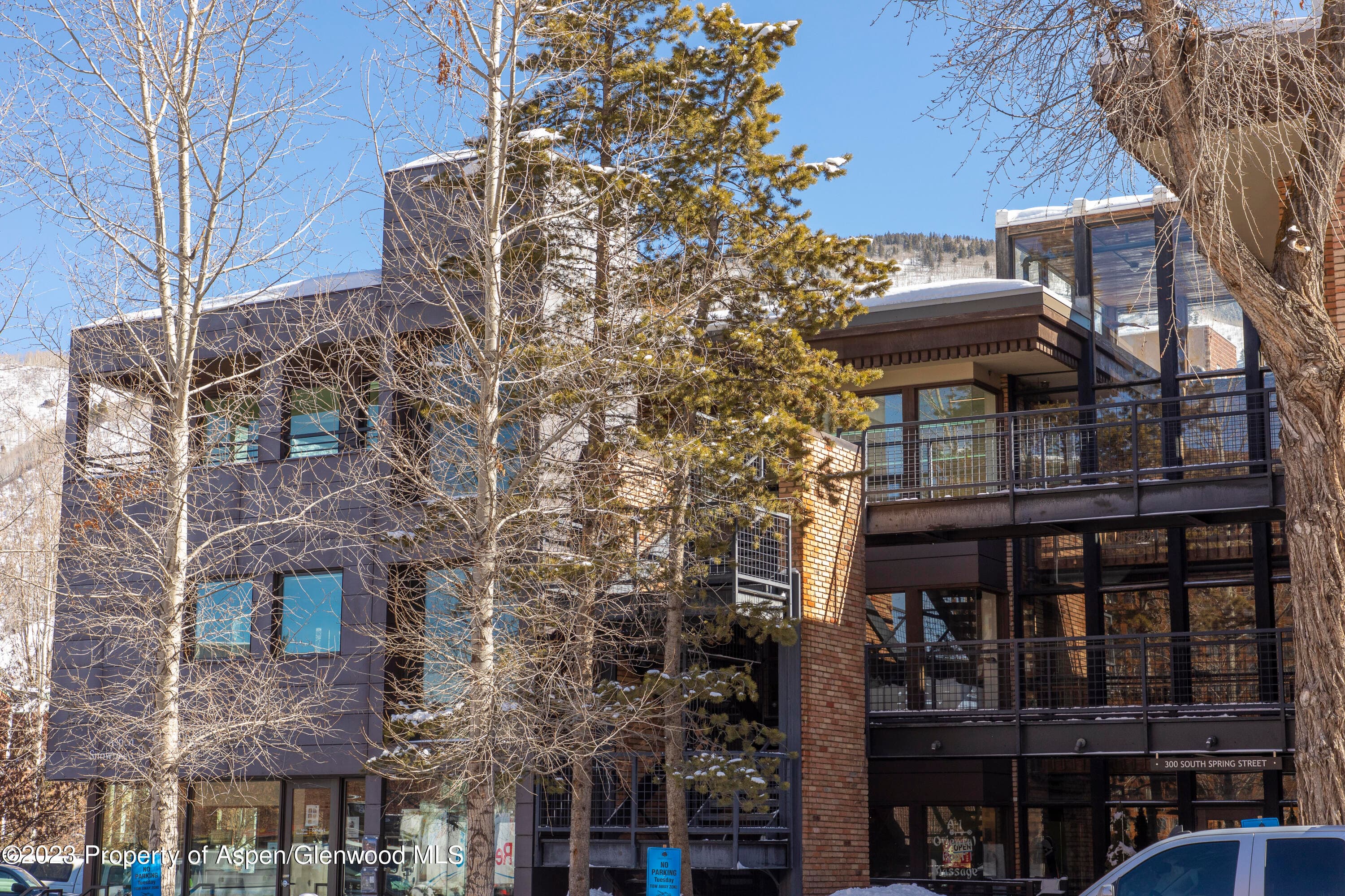 300 S Spring Street 301, Aspen, CO 81611 - Photo 16