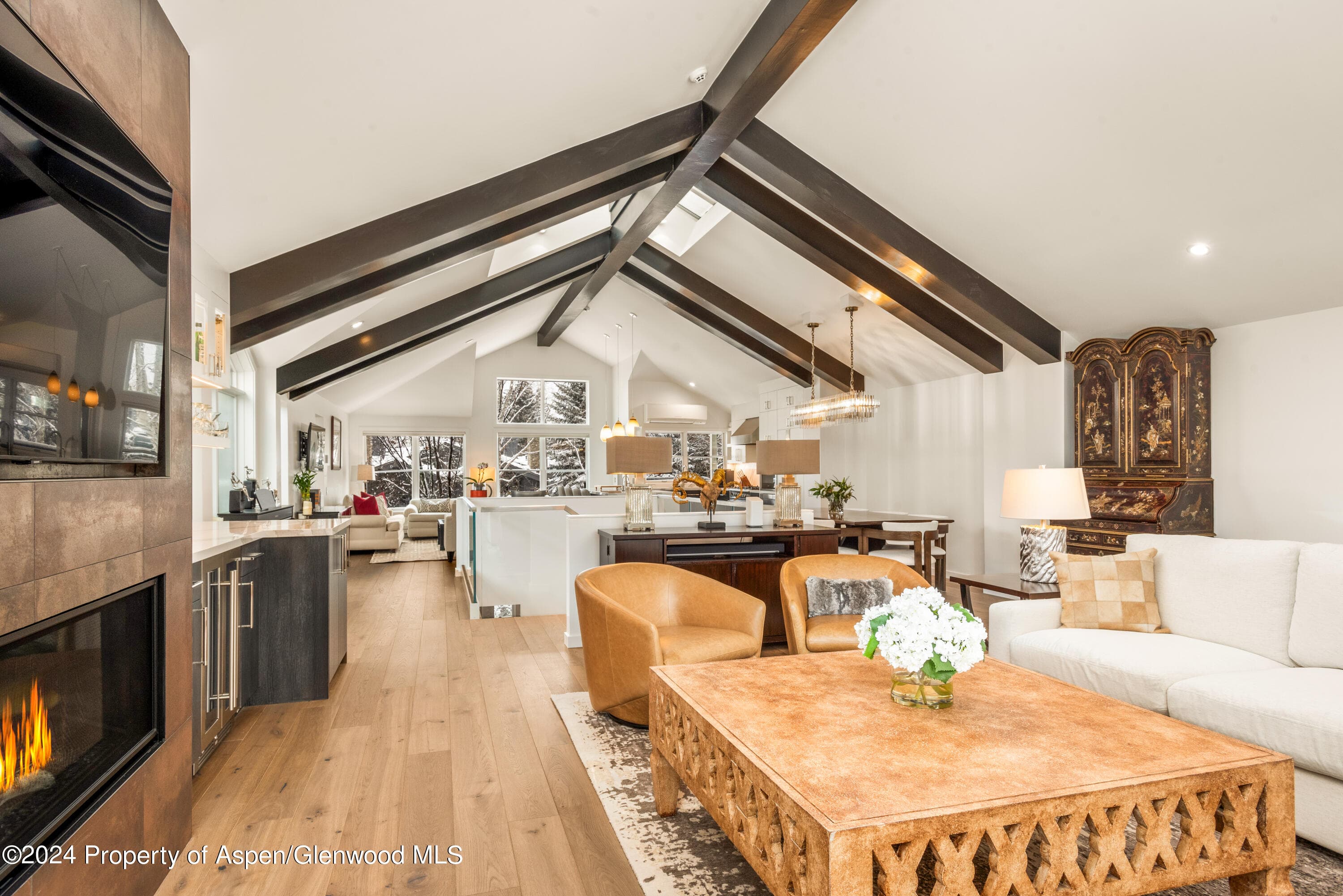 927 E Durant Avenue 3, Aspen, CO 81611 - Photo 10