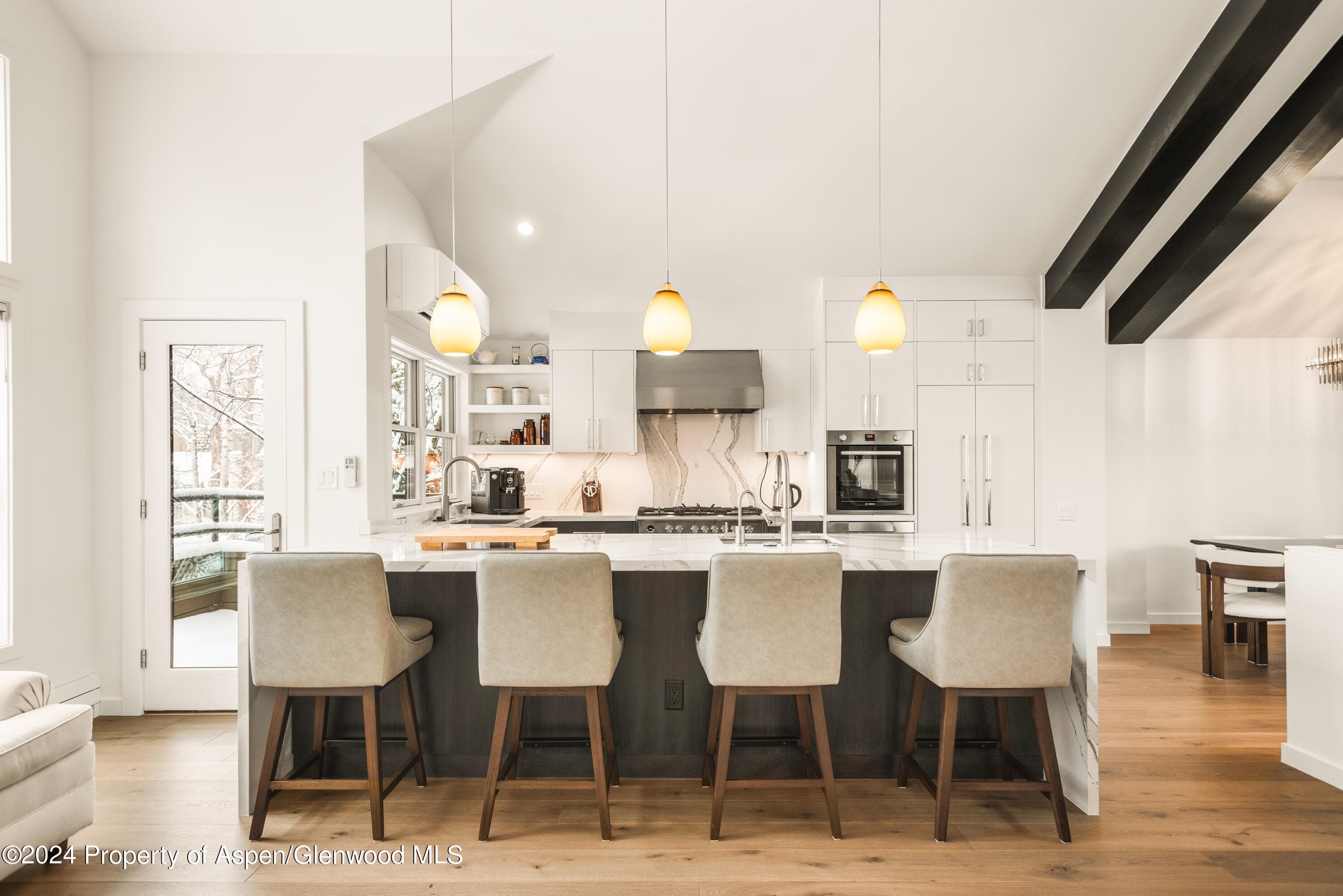 927 E Durant Avenue 3, Aspen, CO 81611 - Photo 13