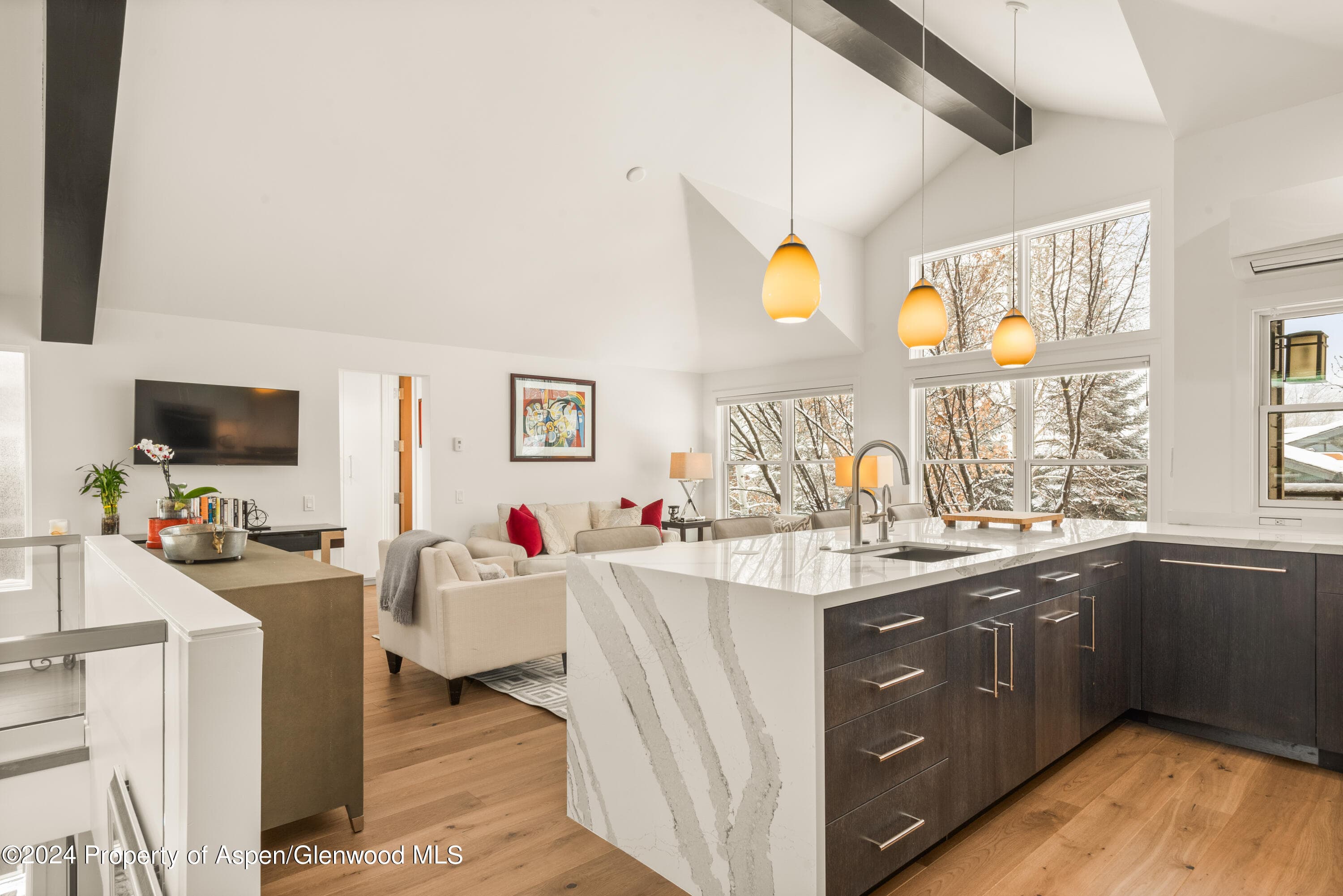 927 E Durant Avenue 3, Aspen, CO 81611 - Photo 15