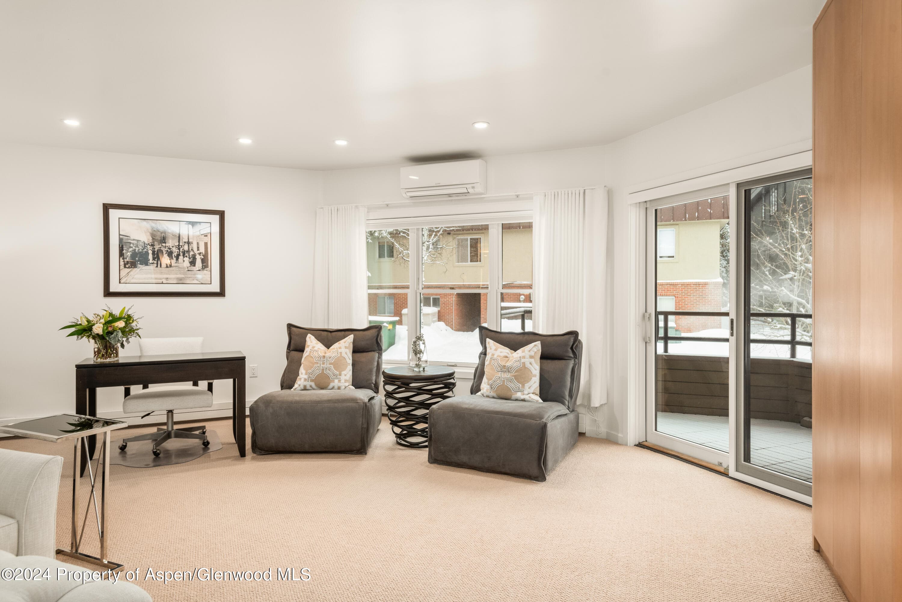 927 E Durant Avenue 3, Aspen, CO 81611 - Photo 26