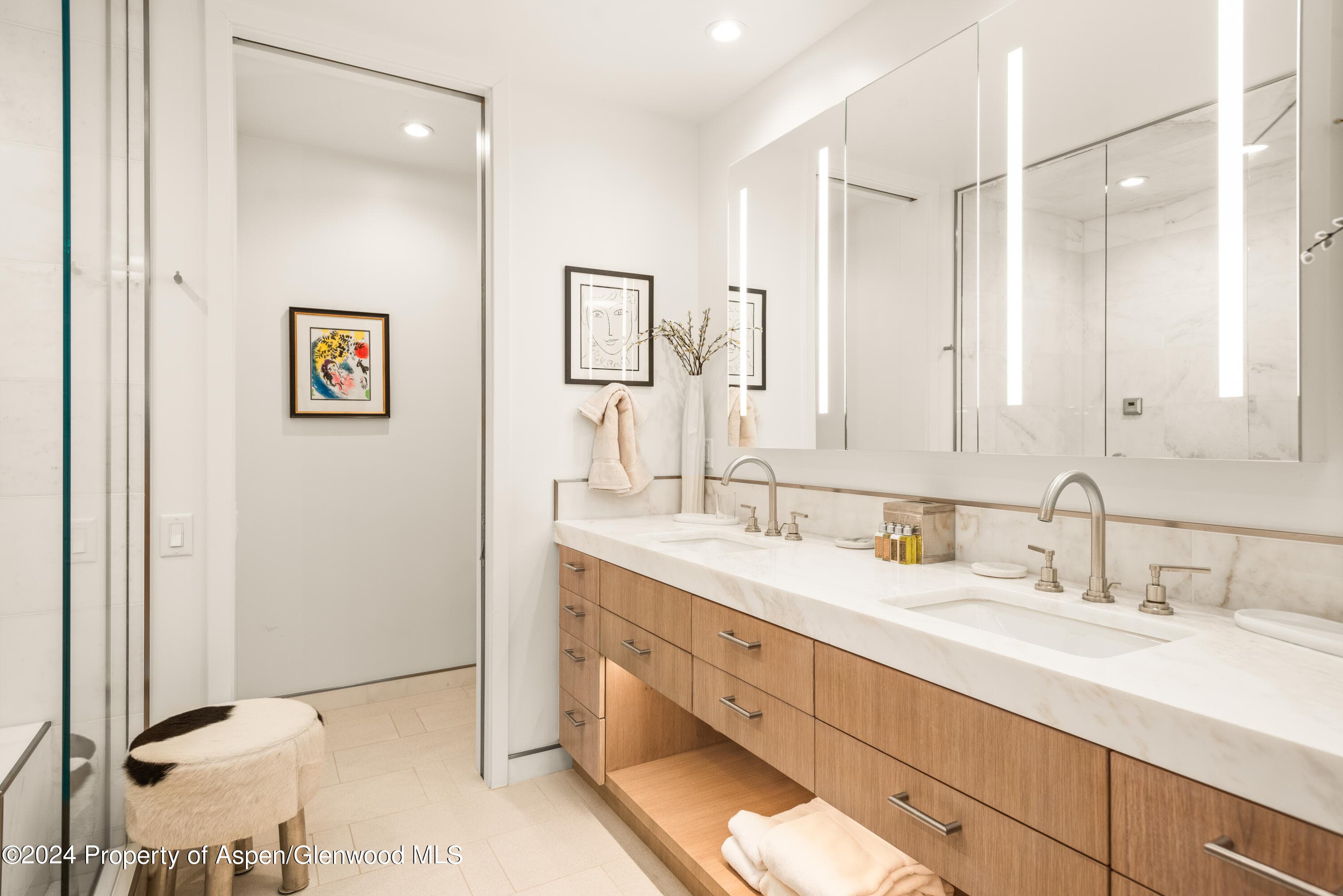 927 E Durant Avenue 3, Aspen, CO 81611 - Photo 30