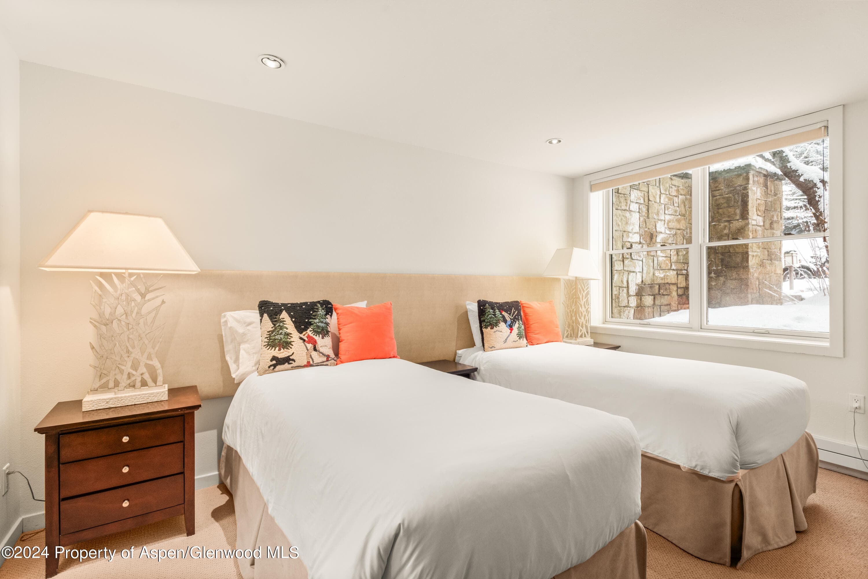 927 E Durant Avenue 3, Aspen, CO 81611 - Photo 36