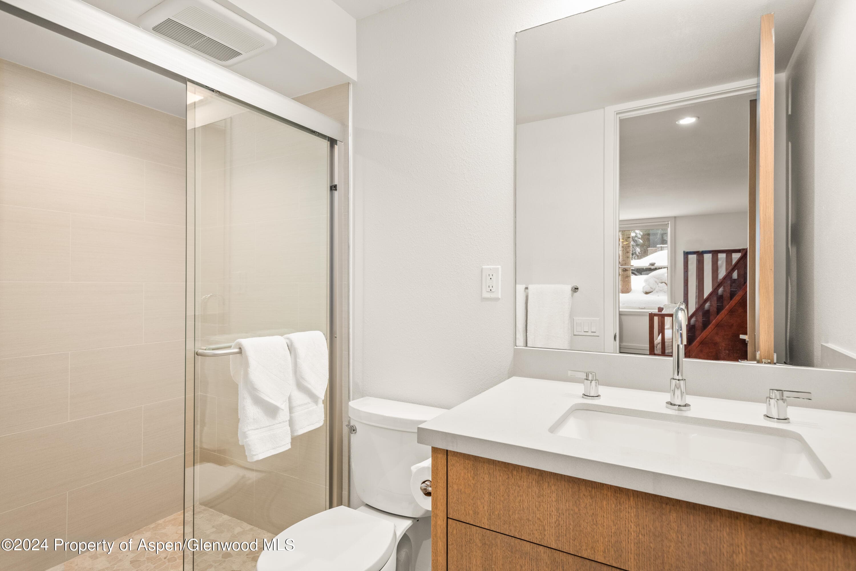 927 E Durant Avenue 3, Aspen, CO 81611 - Photo 39