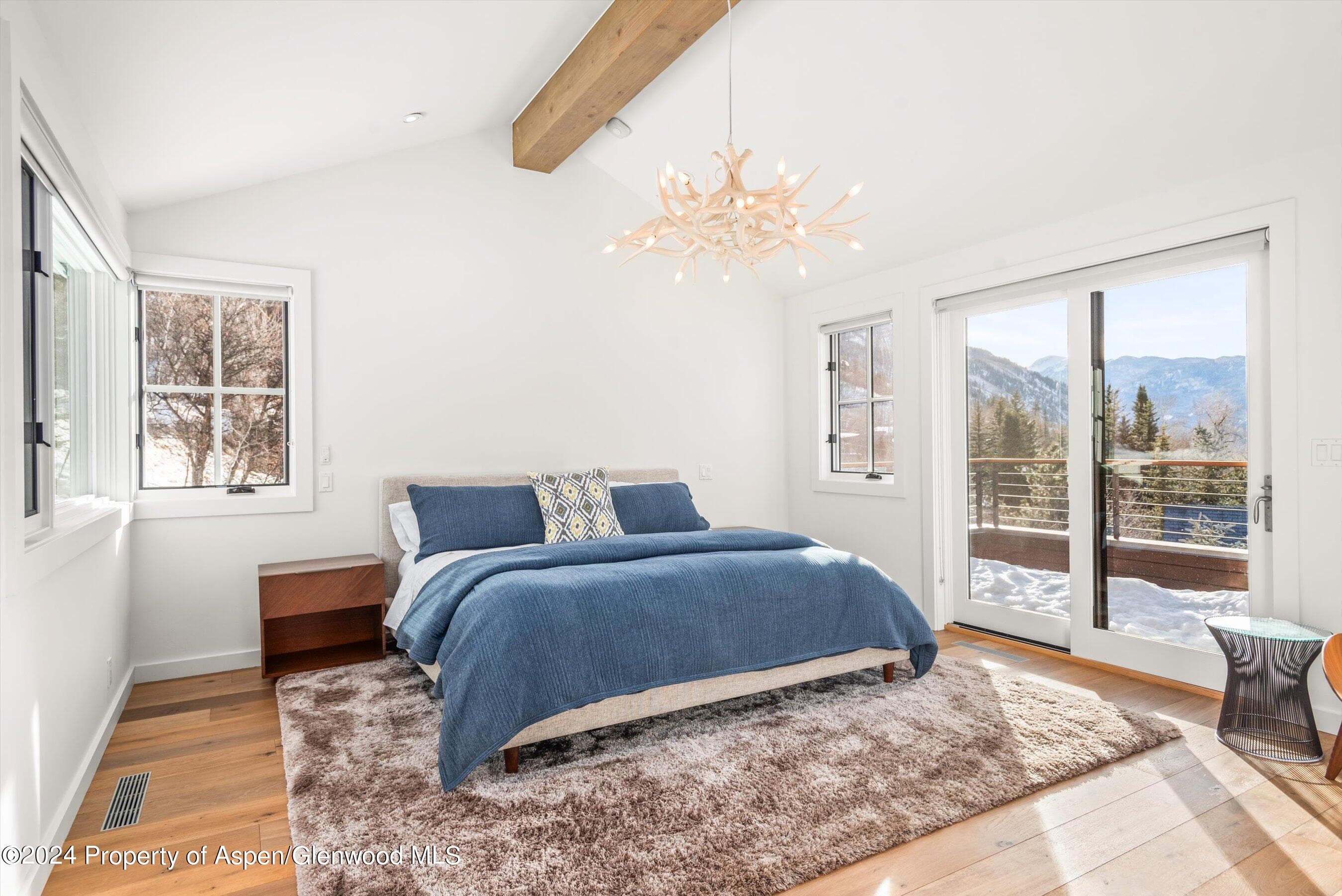 449 Mountain Laurel Drive #4, Aspen, CO 81611 - Photo 14