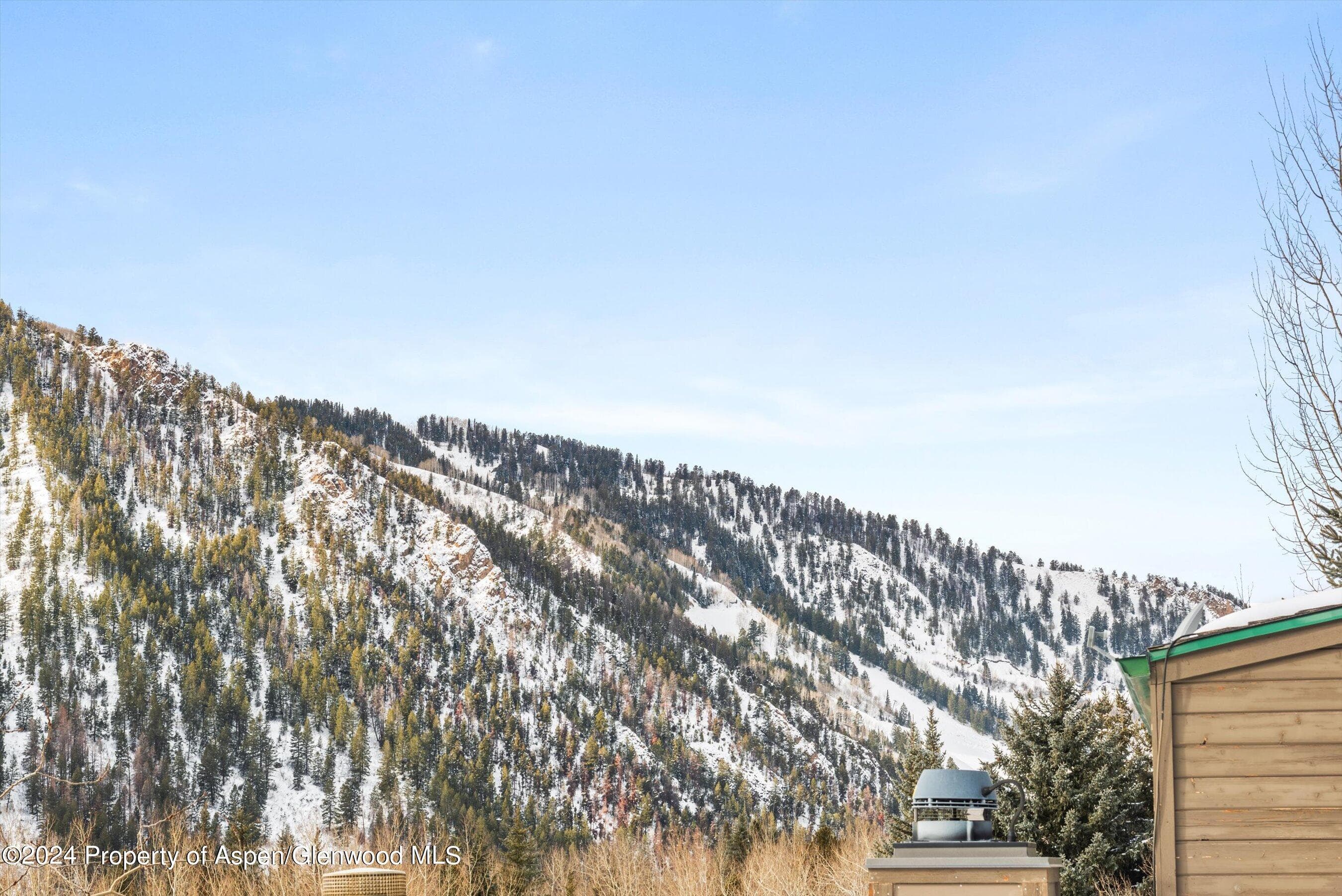 449 Mountain Laurel Drive #4, Aspen, CO 81611 - Photo 31