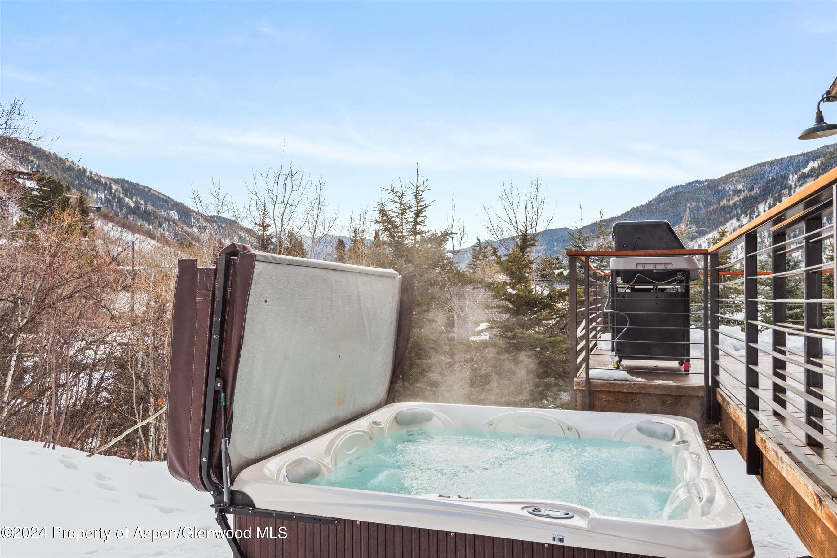 449 Mountain Laurel Drive #4, Aspen, CO 81611 - Photo 25