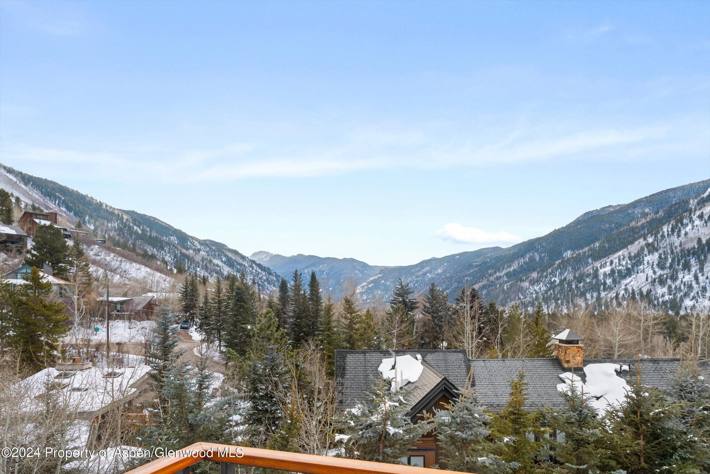449 Mountain Laurel Drive #4, Aspen, CO 81611 - Photo 26