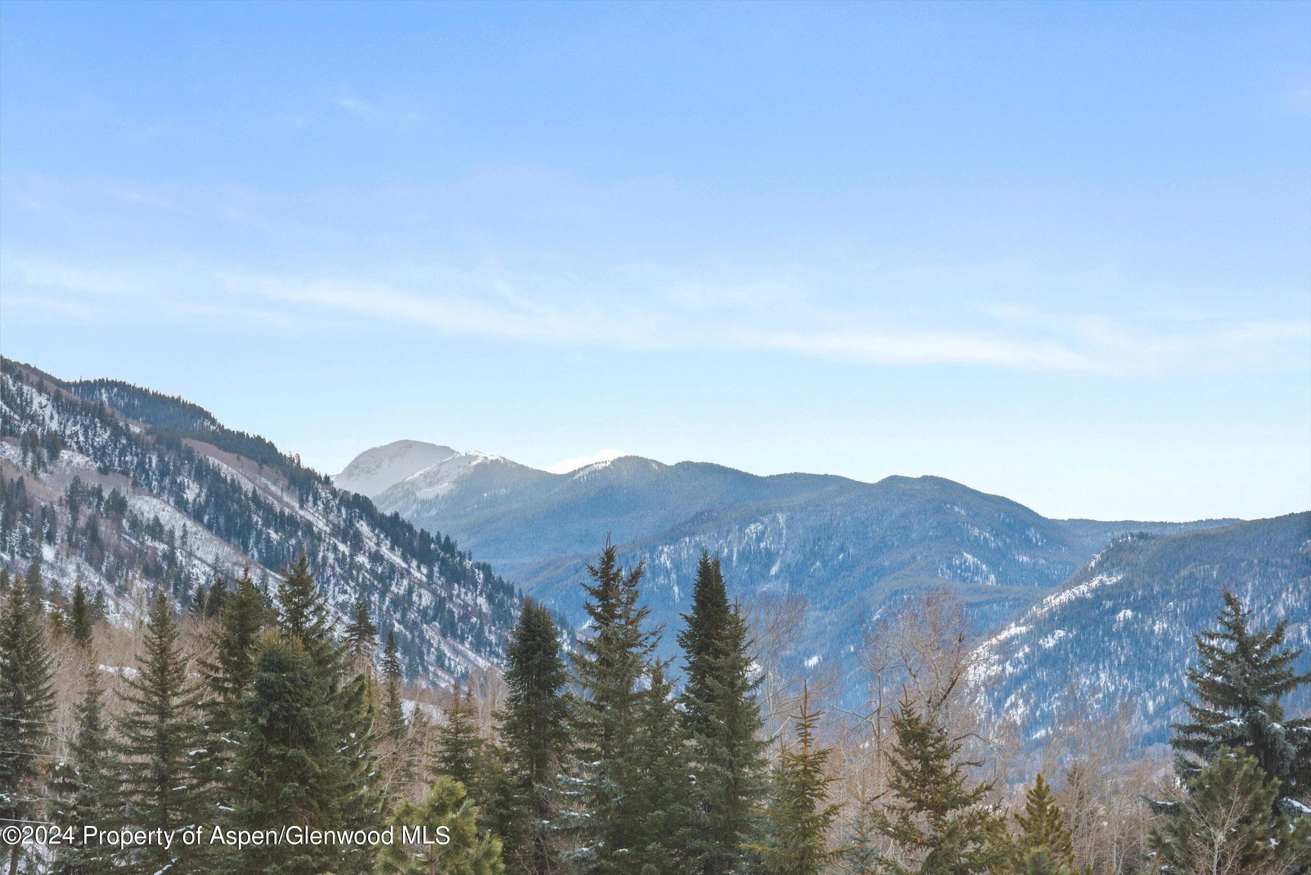 449 Mountain Laurel Drive #4, Aspen, CO 81611 - Photo 27