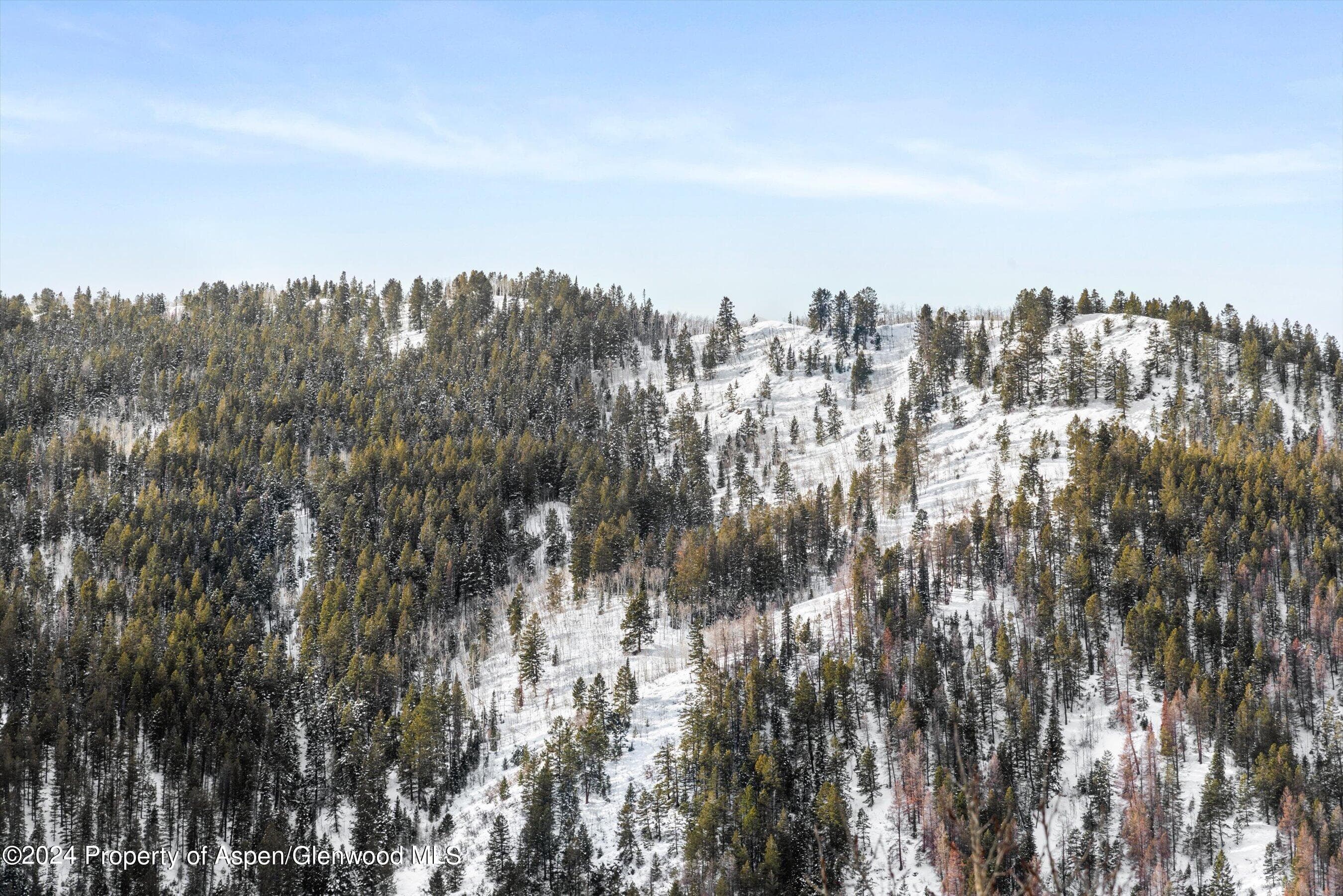449 Mountain Laurel Drive #4, Aspen, CO 81611 - Photo 29