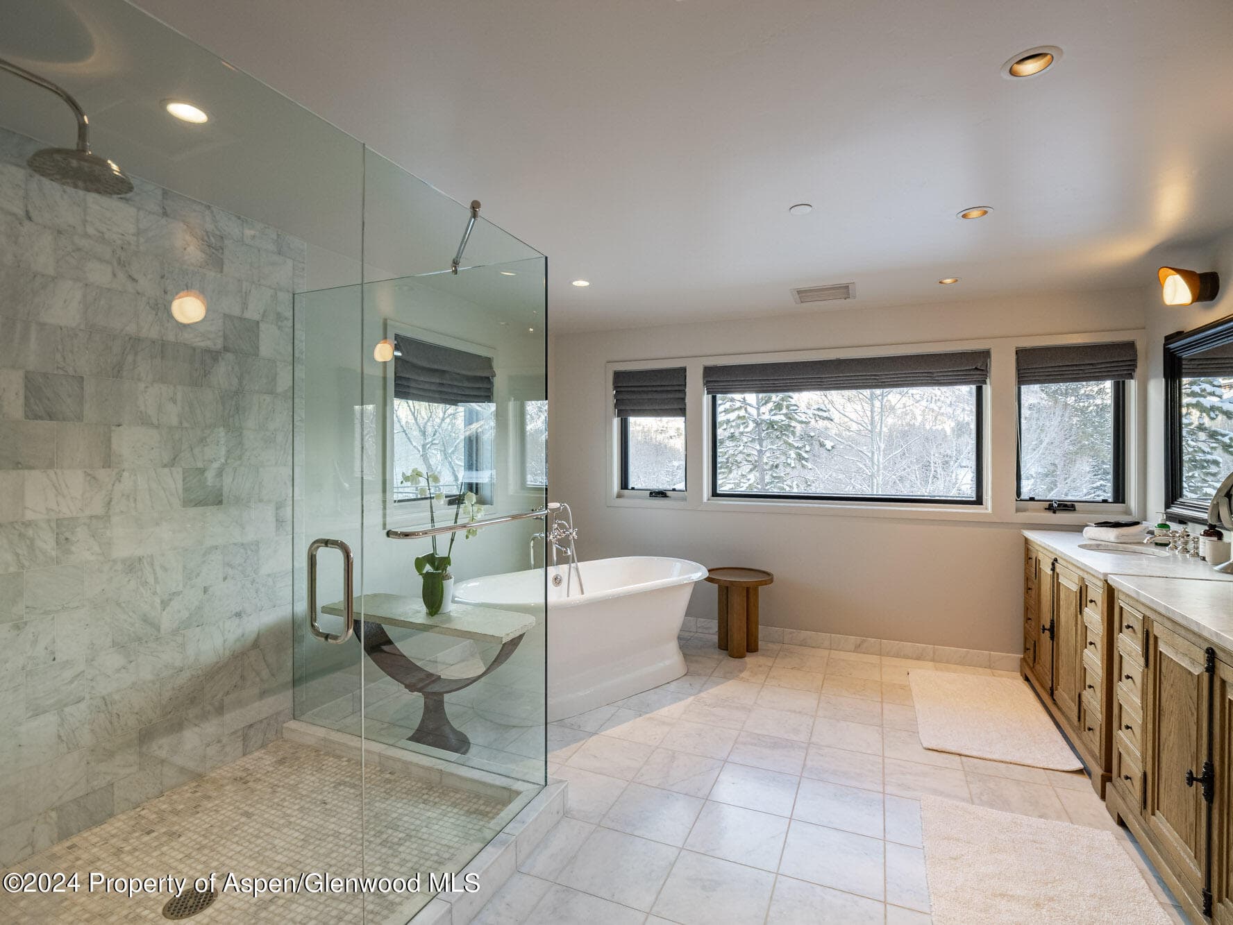 1490 Ute Avenue, Aspen, CO 81611 - Photo 68