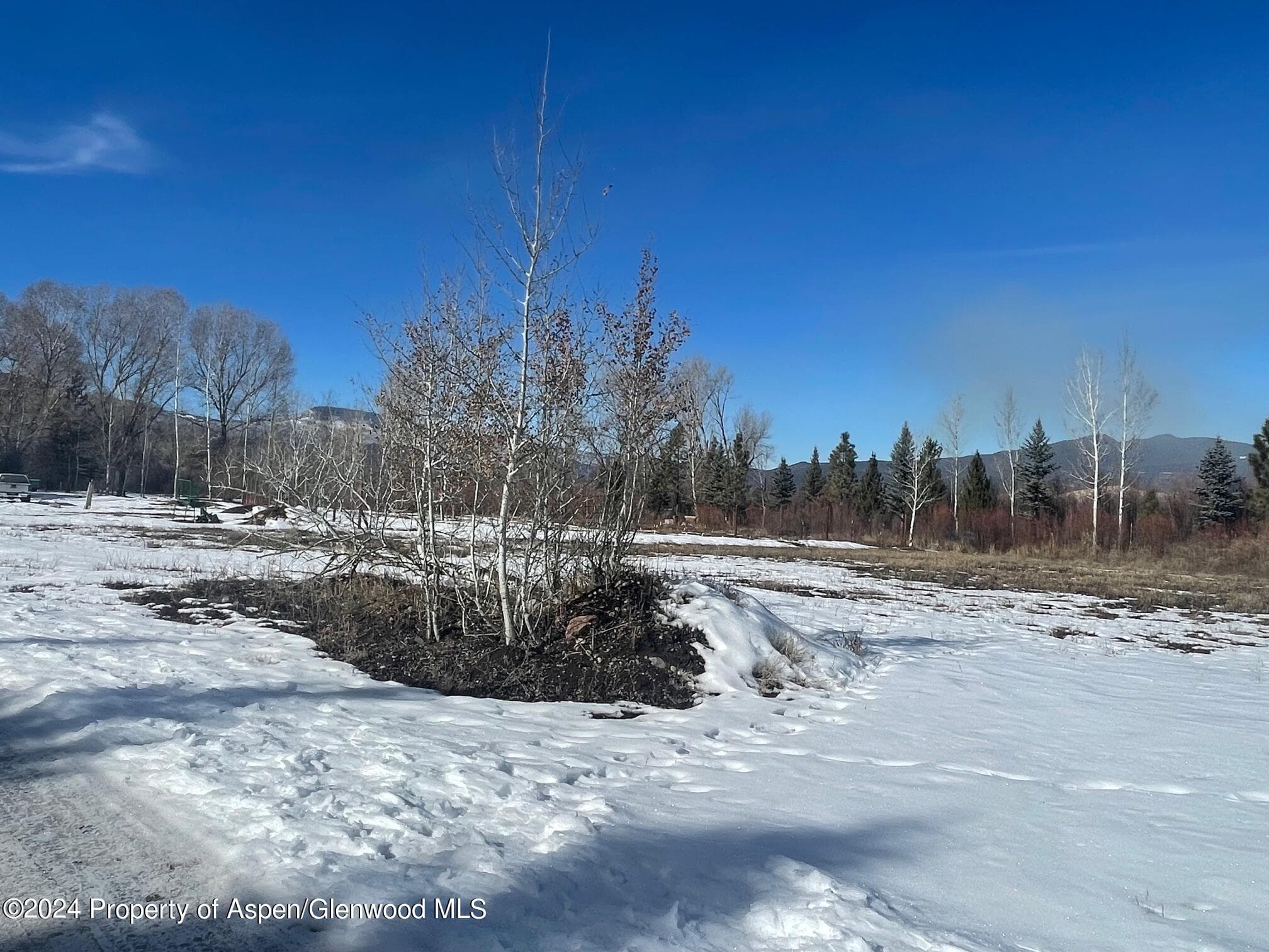 2330 CR 100, Carbondale, CO 81623 - Photo 2