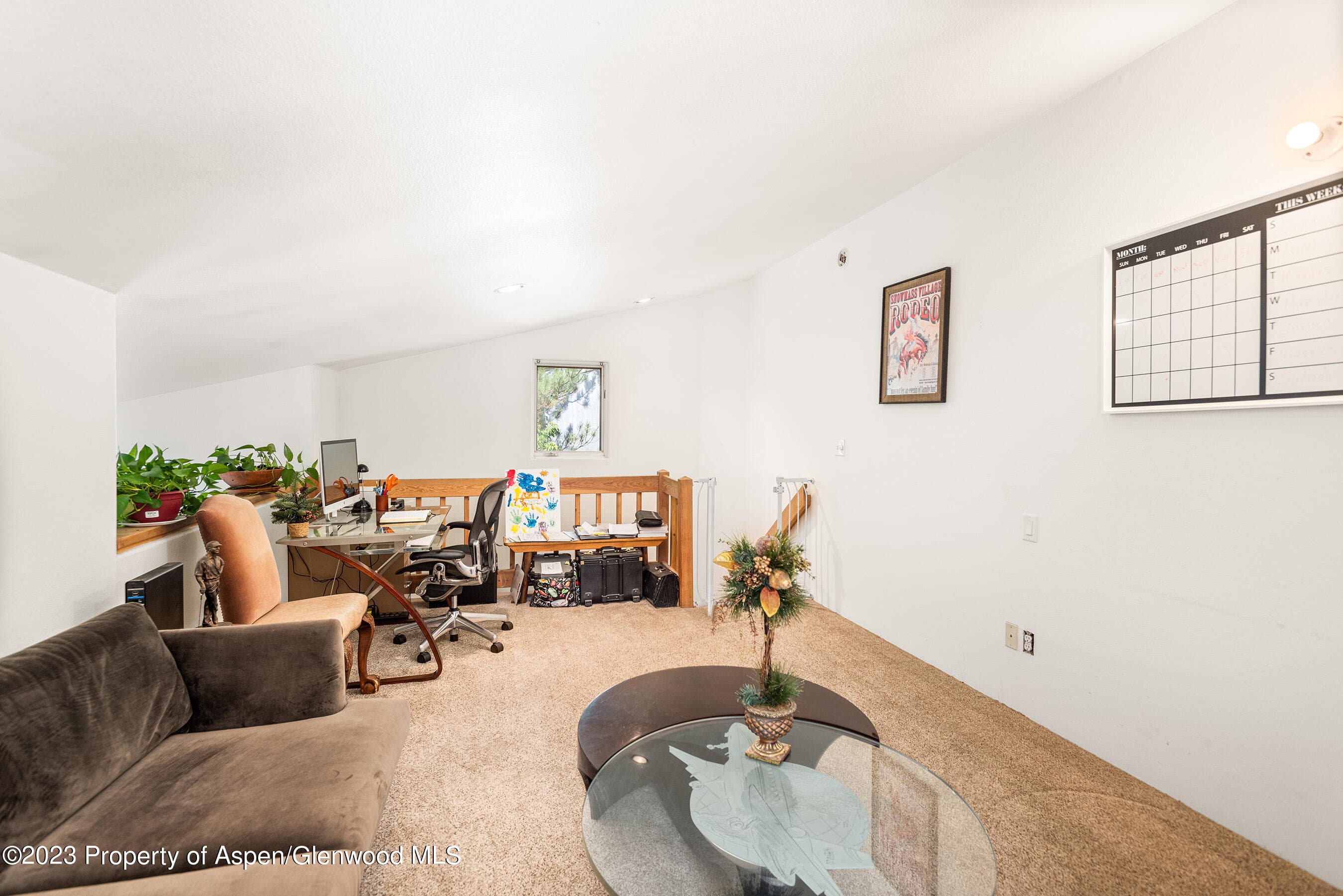 141 & 143 Swinging Bridge Lane, Basalt, CO 81621 - Photo 12