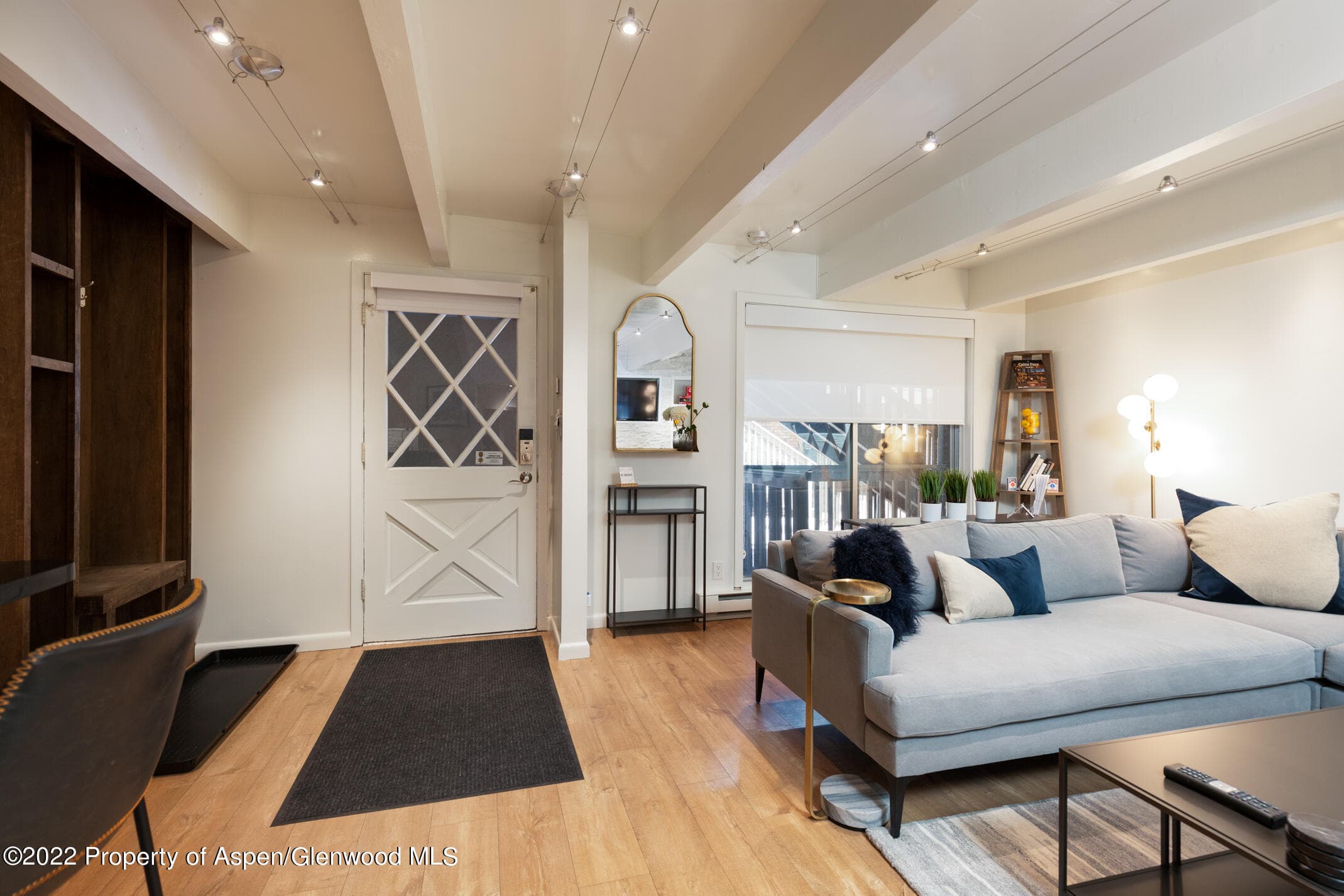 731 E Durant Avenue 6, Aspen, CO 81611 - Photo 12