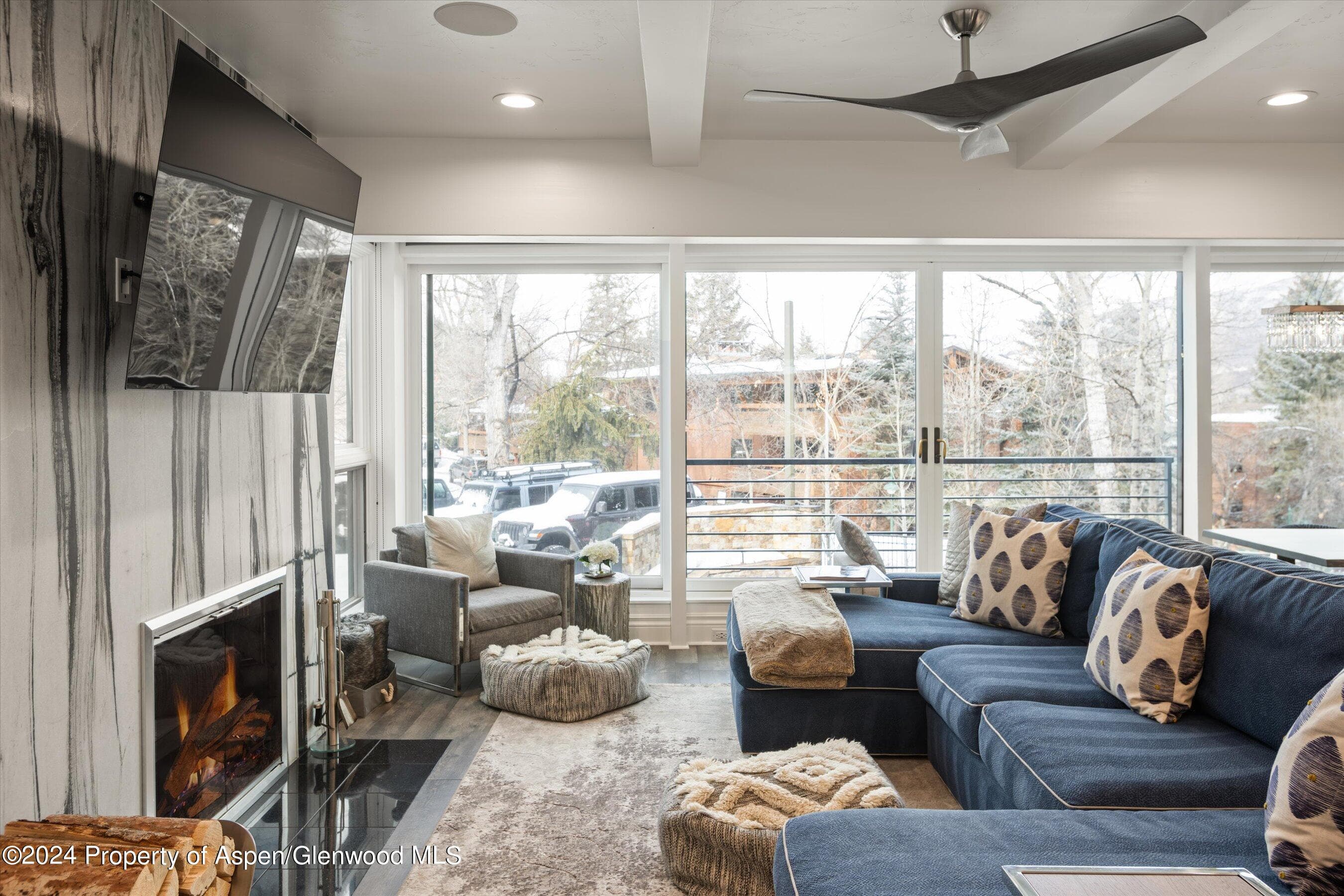 748 S Galena Street 2D, Aspen, CO 81611 - Photo 2