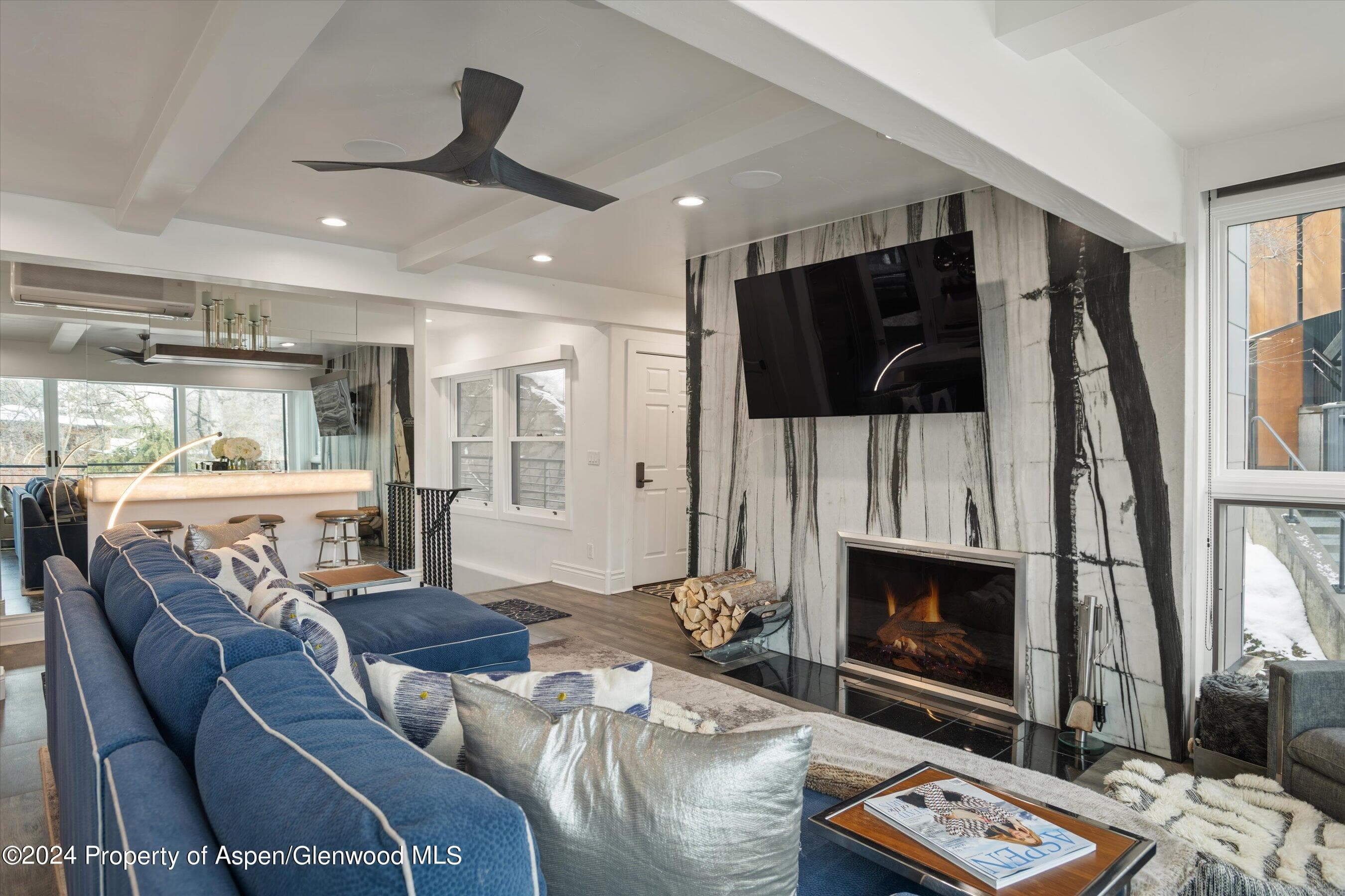 748 S Galena Street 2D, Aspen, CO 81611 - Photo 4