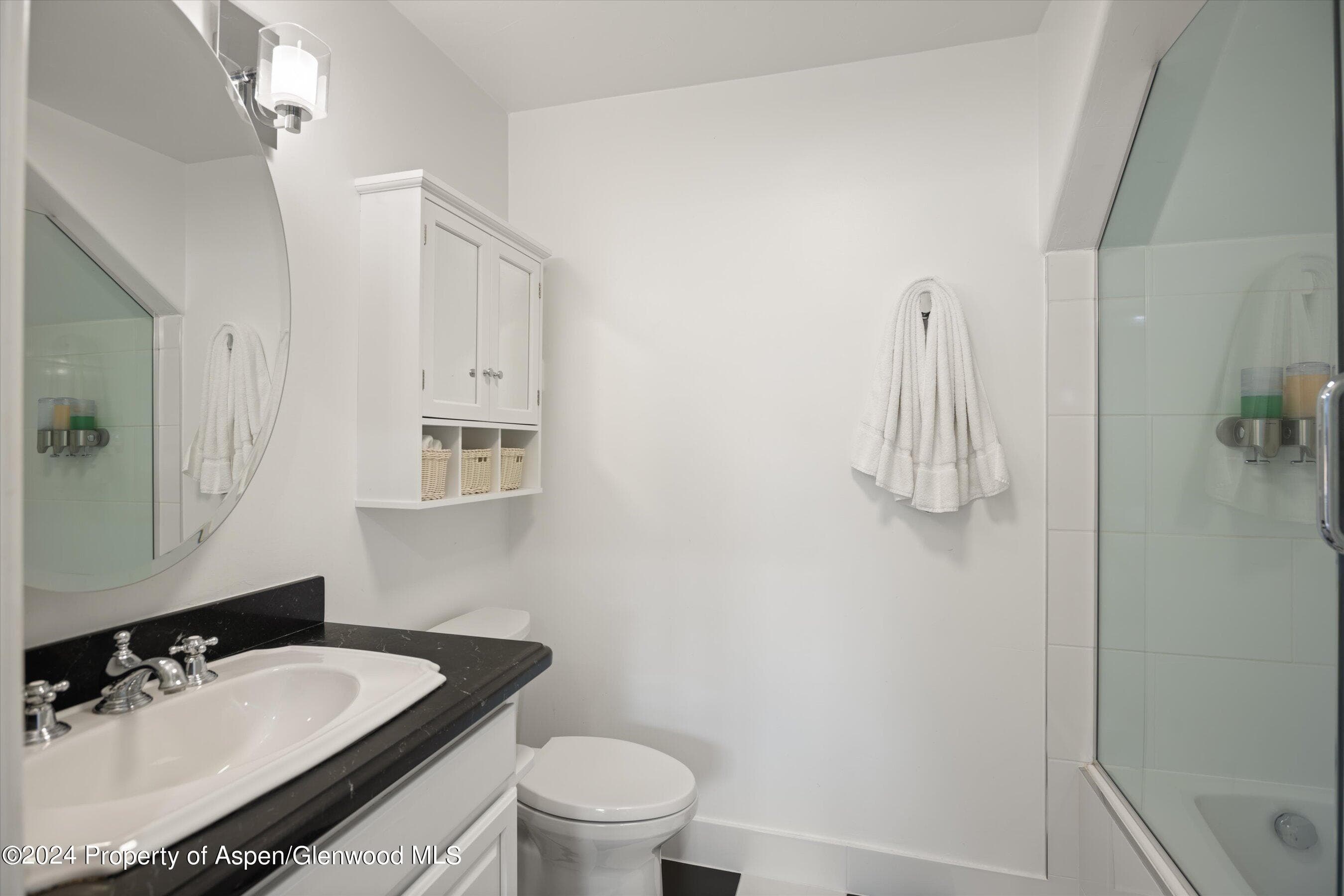 748 S Galena Street 2D, Aspen, CO 81611 - Photo 22