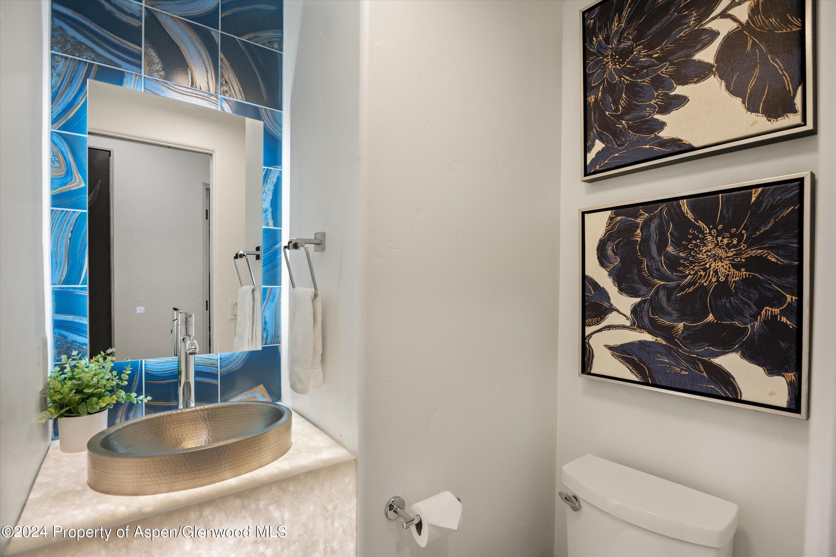 748 S Galena Street 2D, Aspen, CO 81611 - Photo 26
