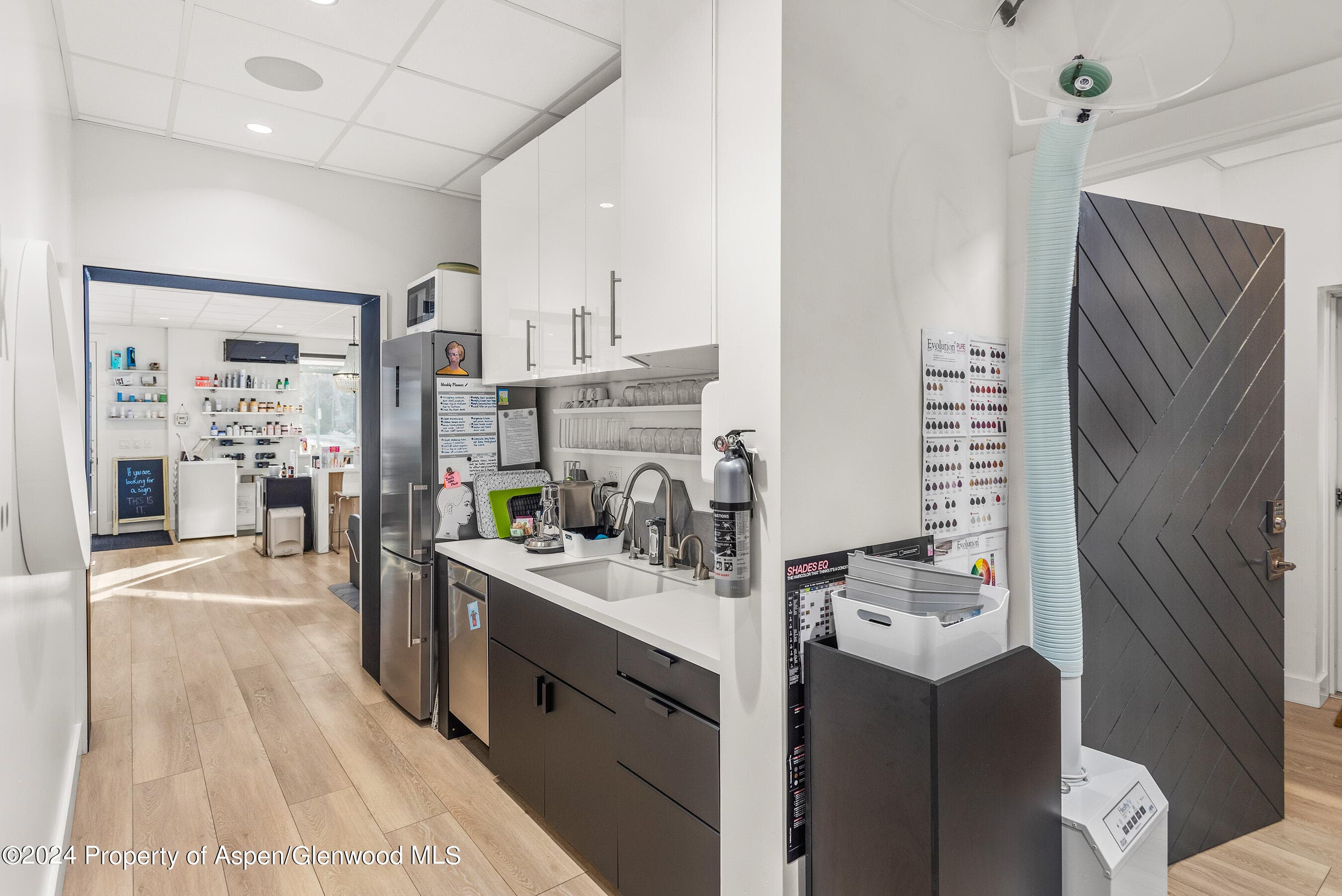 117 S Spring Street A & B, Aspen, CO 81611 - Photo 11