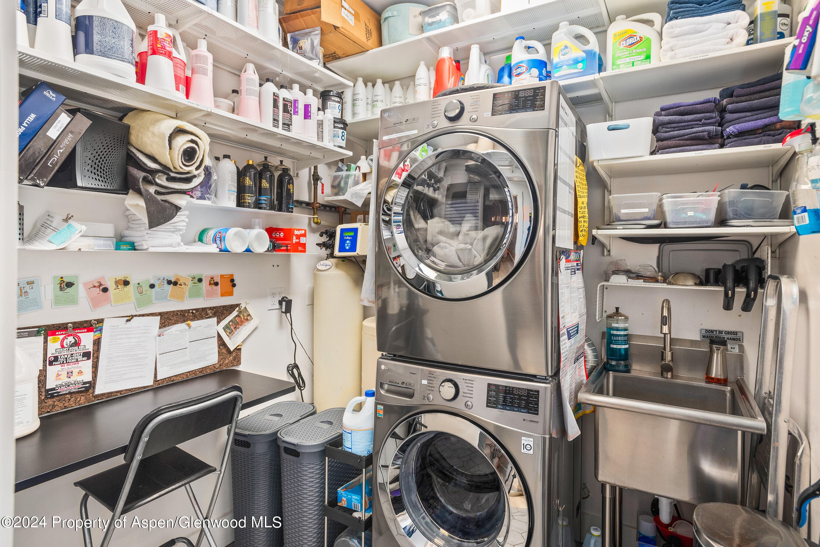 117 S Spring Street A & B, Aspen, CO 81611 - Photo 19