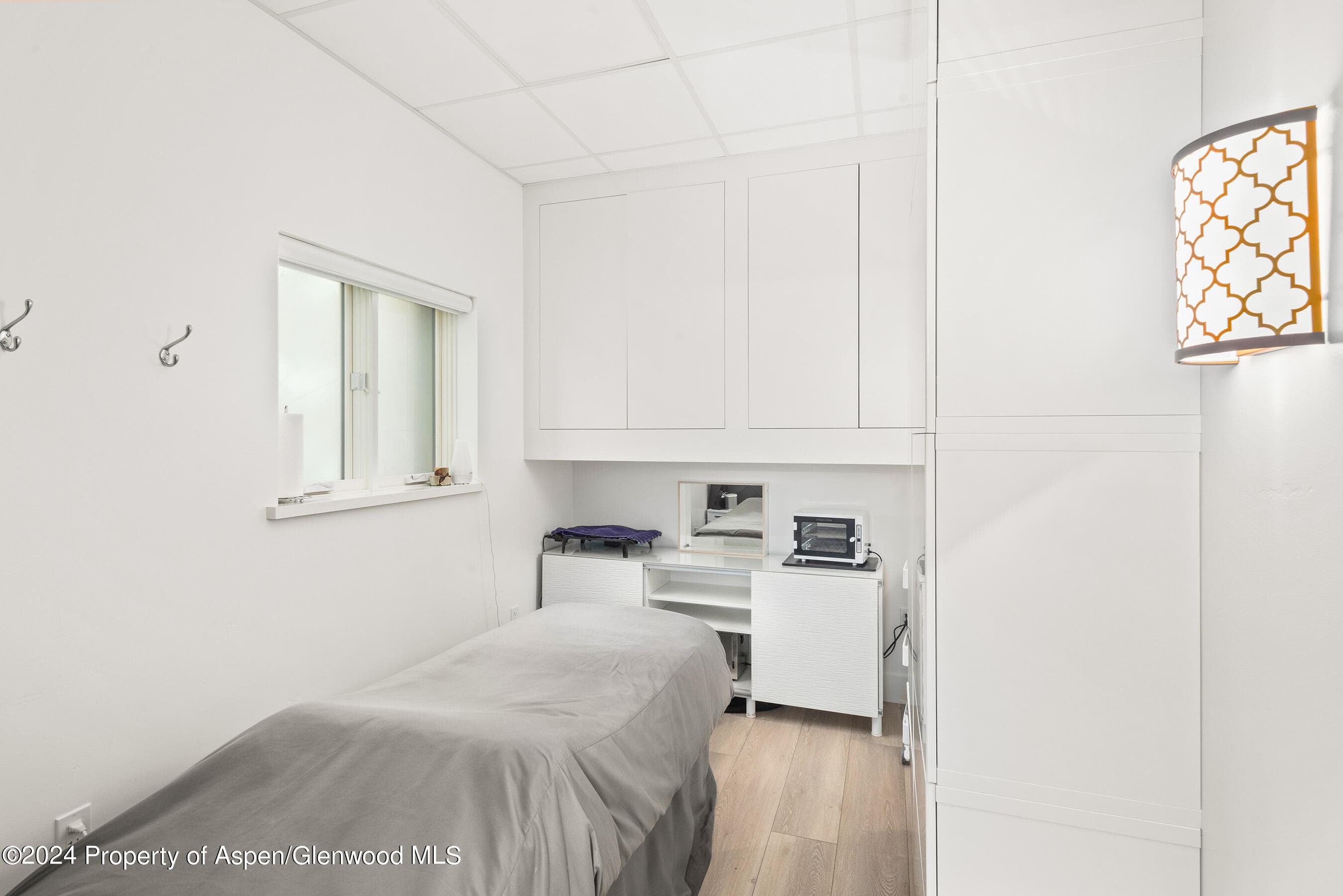 117 S Spring Street A & B, Aspen, CO 81611 - Photo 14