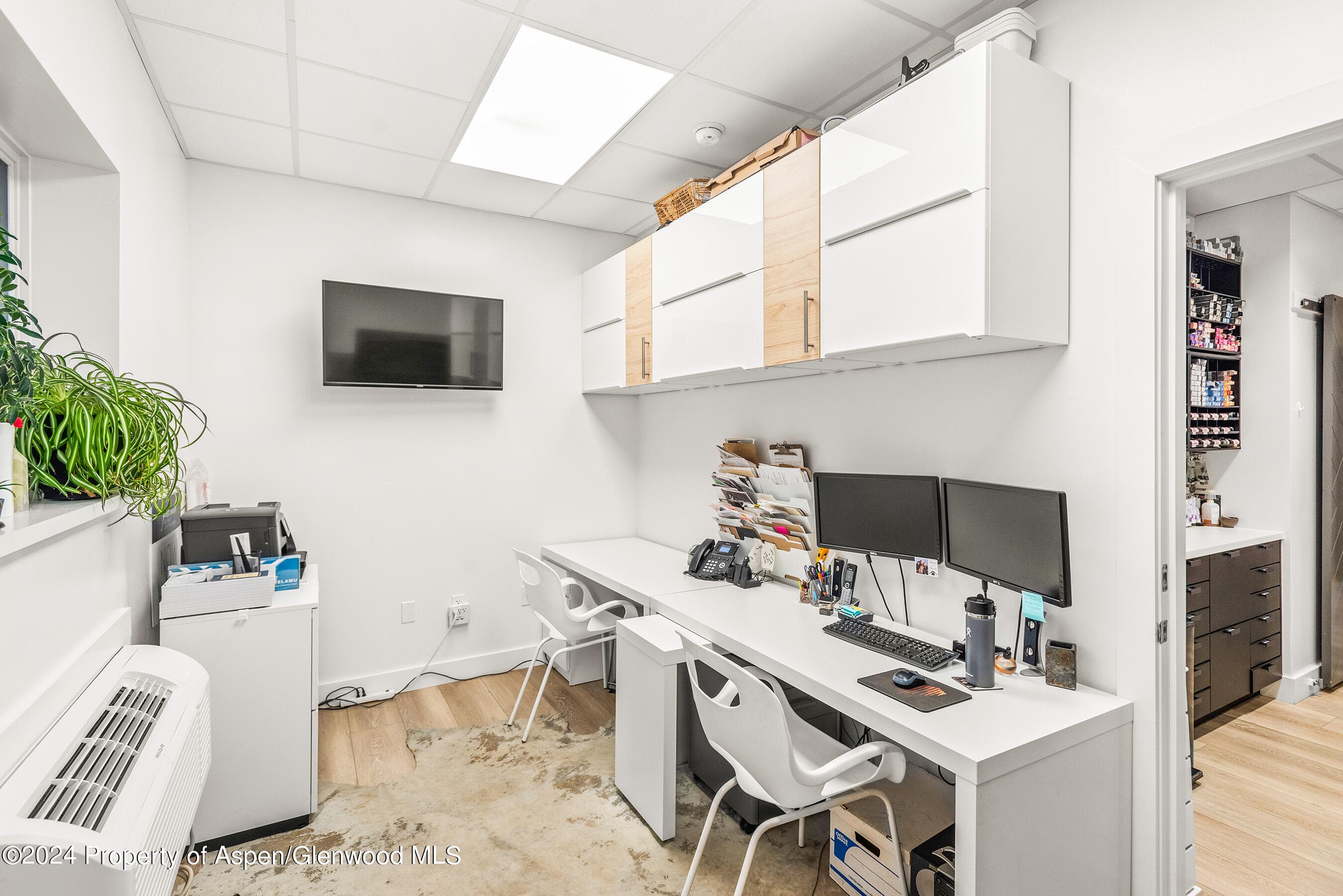 117 S Spring Street A & B, Aspen, CO 81611 - Photo 16