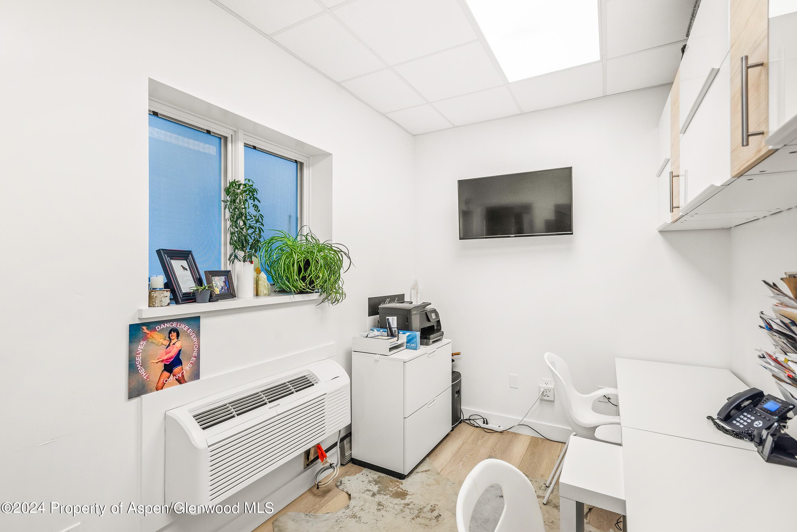 117 S Spring Street A & B, Aspen, CO 81611 - Photo 17