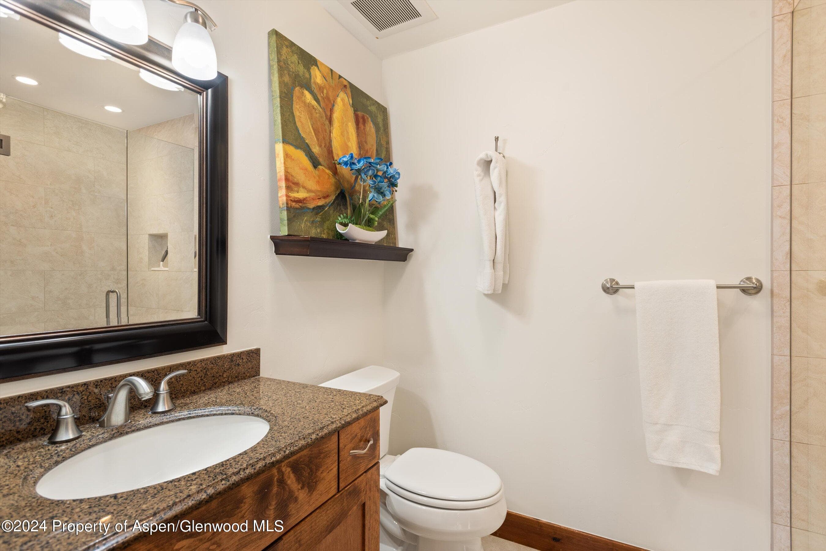 374 Meadow Ranch Road Road, Snowmass Village, CO 81615 - Photo 15