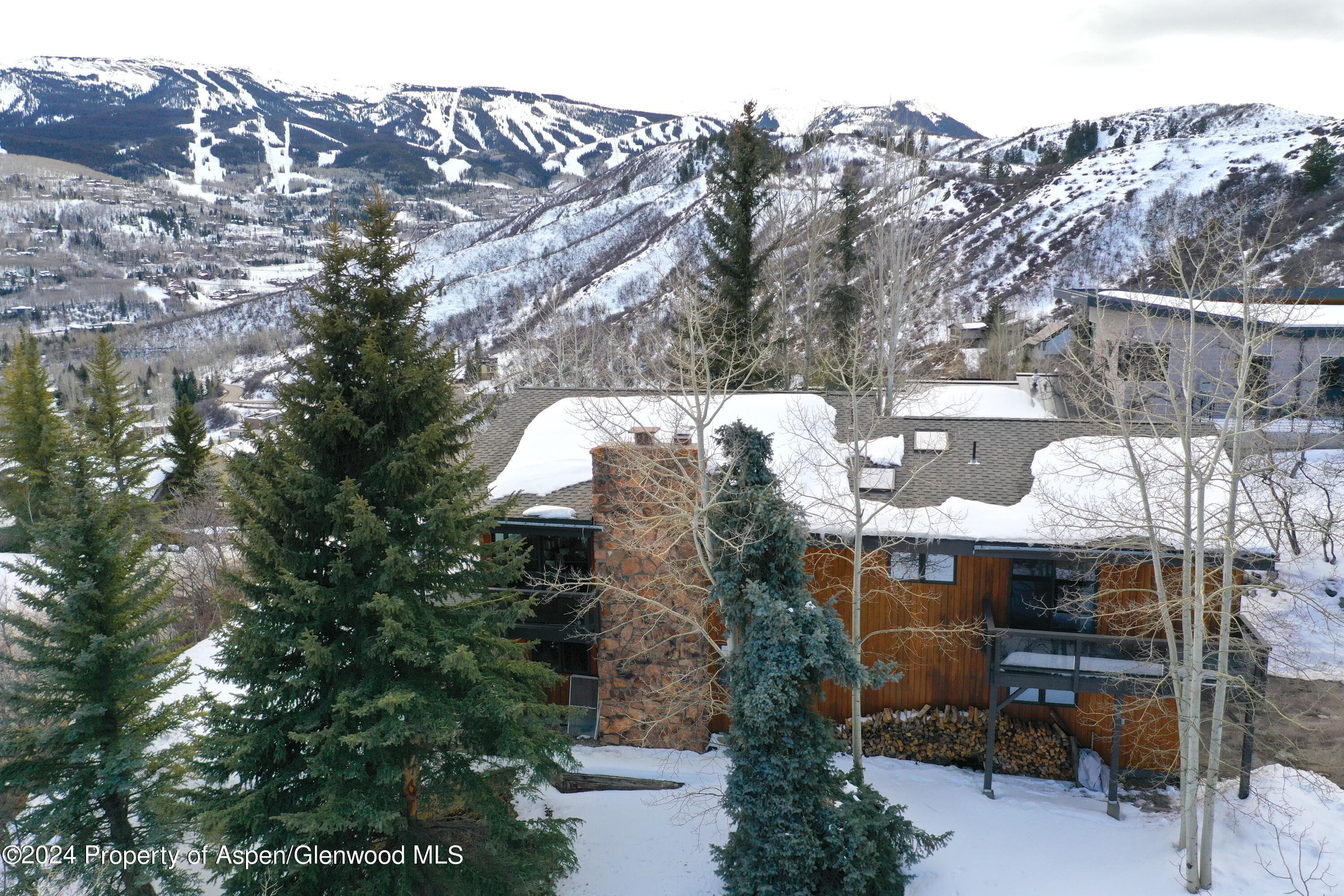 92 Wildridge Lane, Snowmass Village, CO 81615 - Photo 28