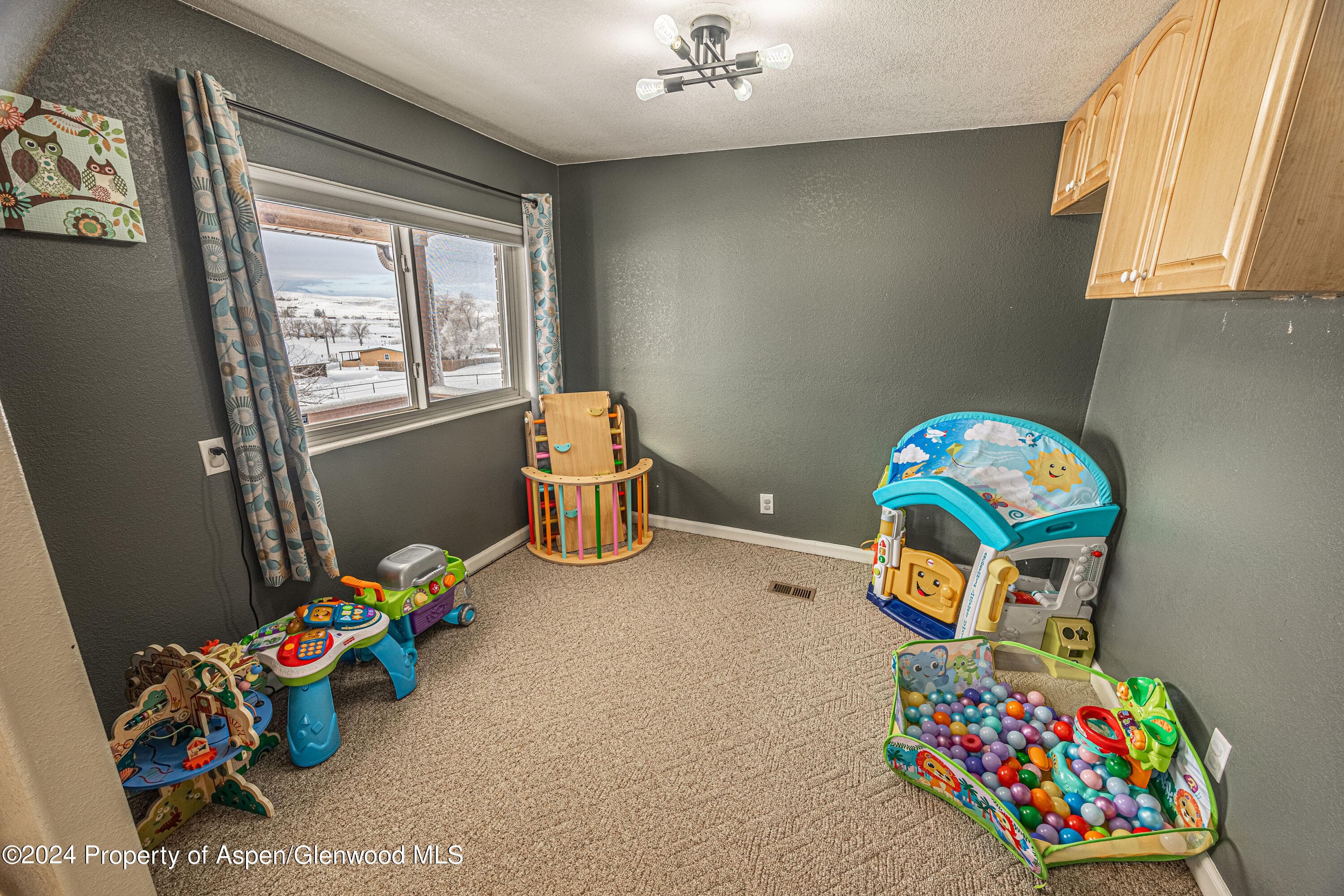 447 Barbra Drive, Craig, CO 81625 - Photo 29
