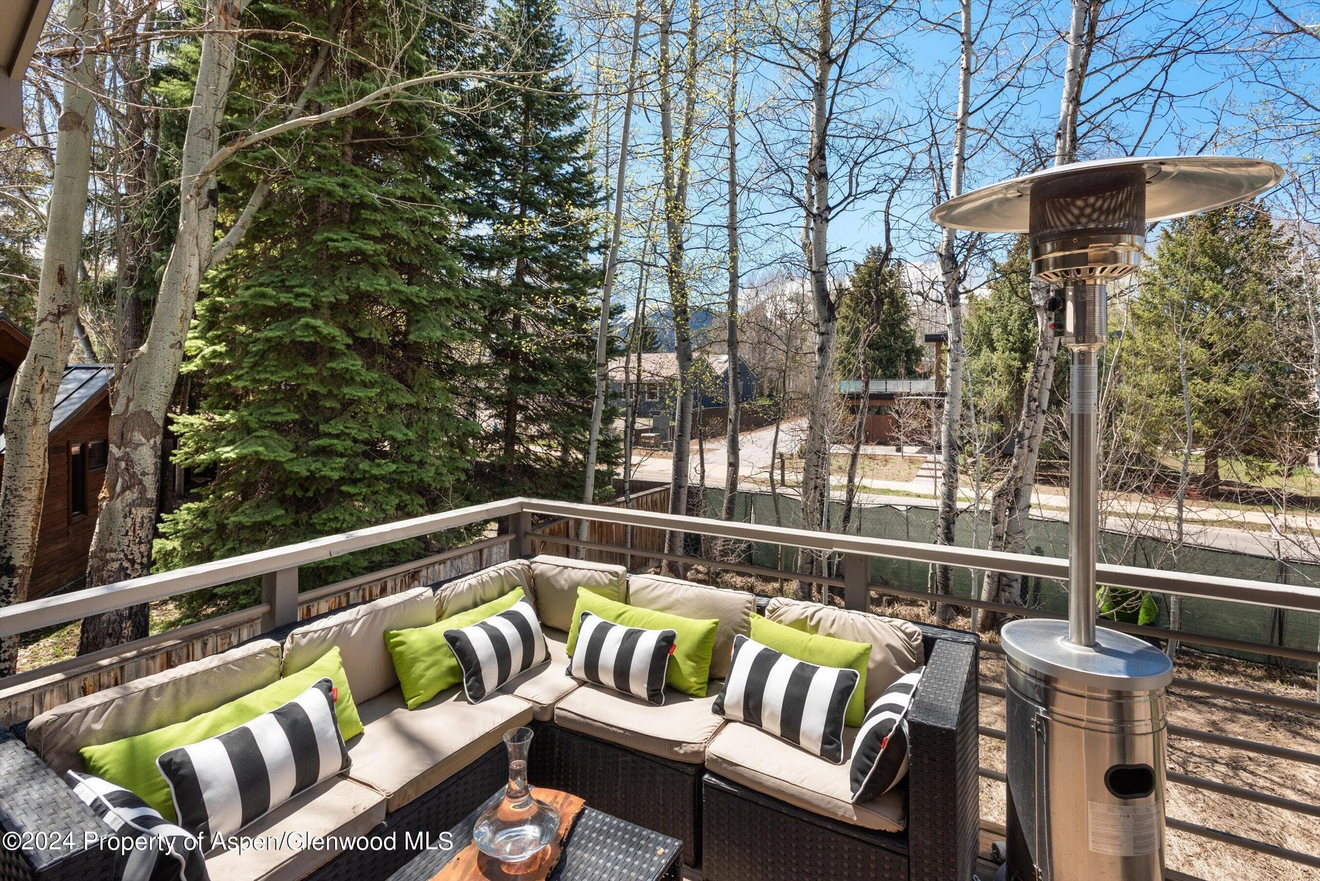 725 Castle Creek Drive, Aspen, CO 81611 - Photo 28