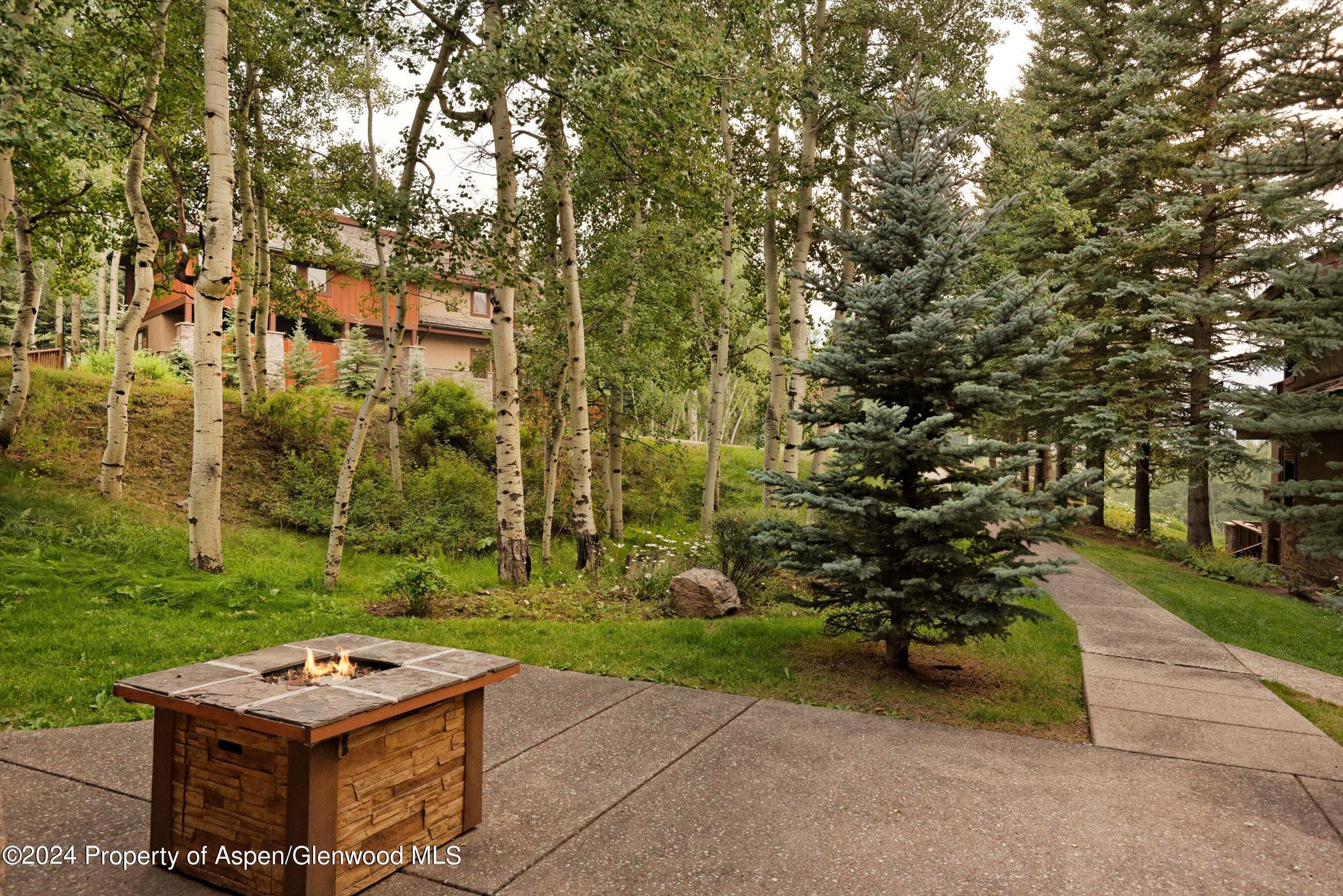 227 Faraway Road 38, Snowmass Village, CO 81615 - Photo 59