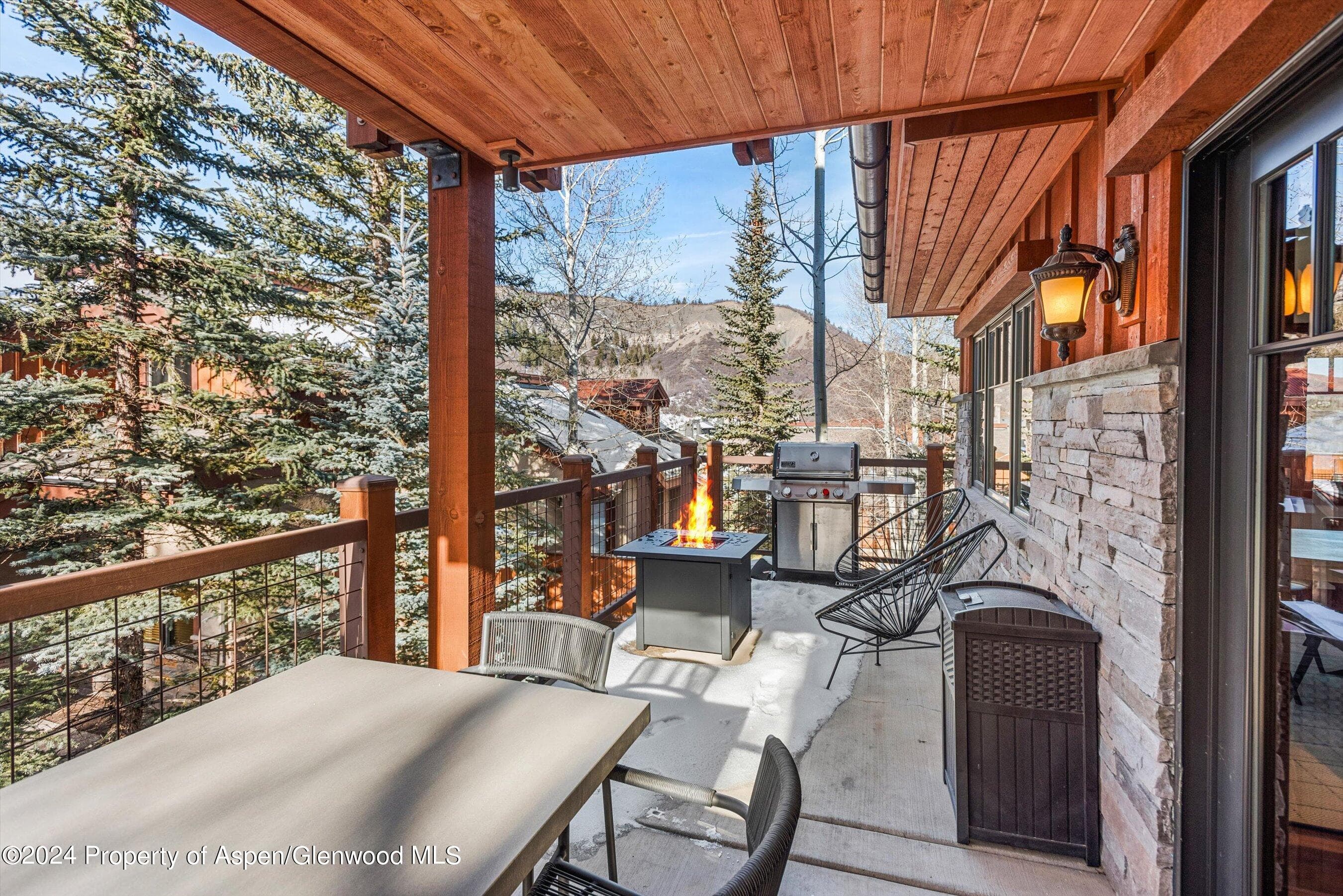 227 Faraway Road 38, Snowmass Village, CO 81615 - Photo 66