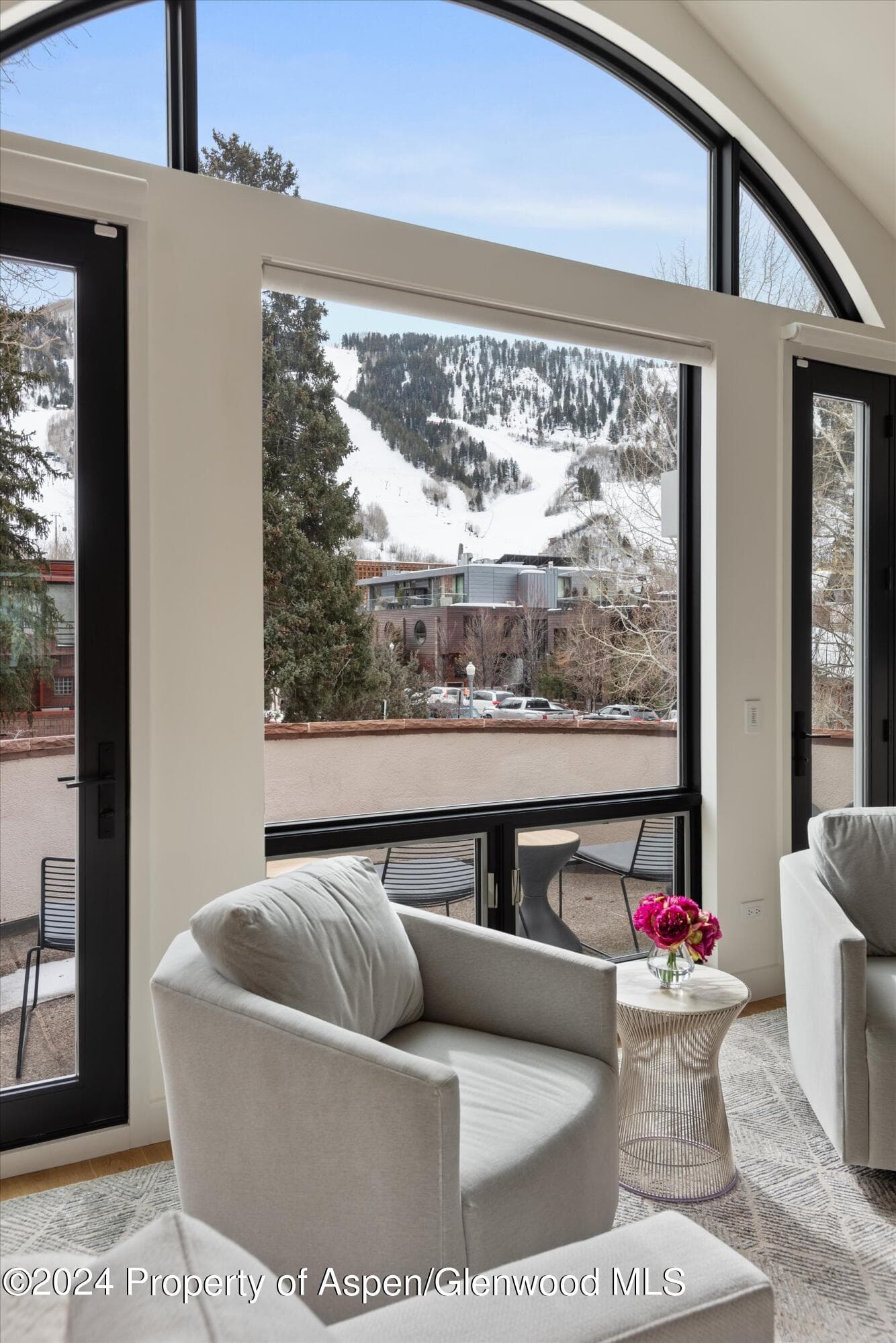 708 E Hopkins Avenue, Aspen, CO 81611 - Photo 3