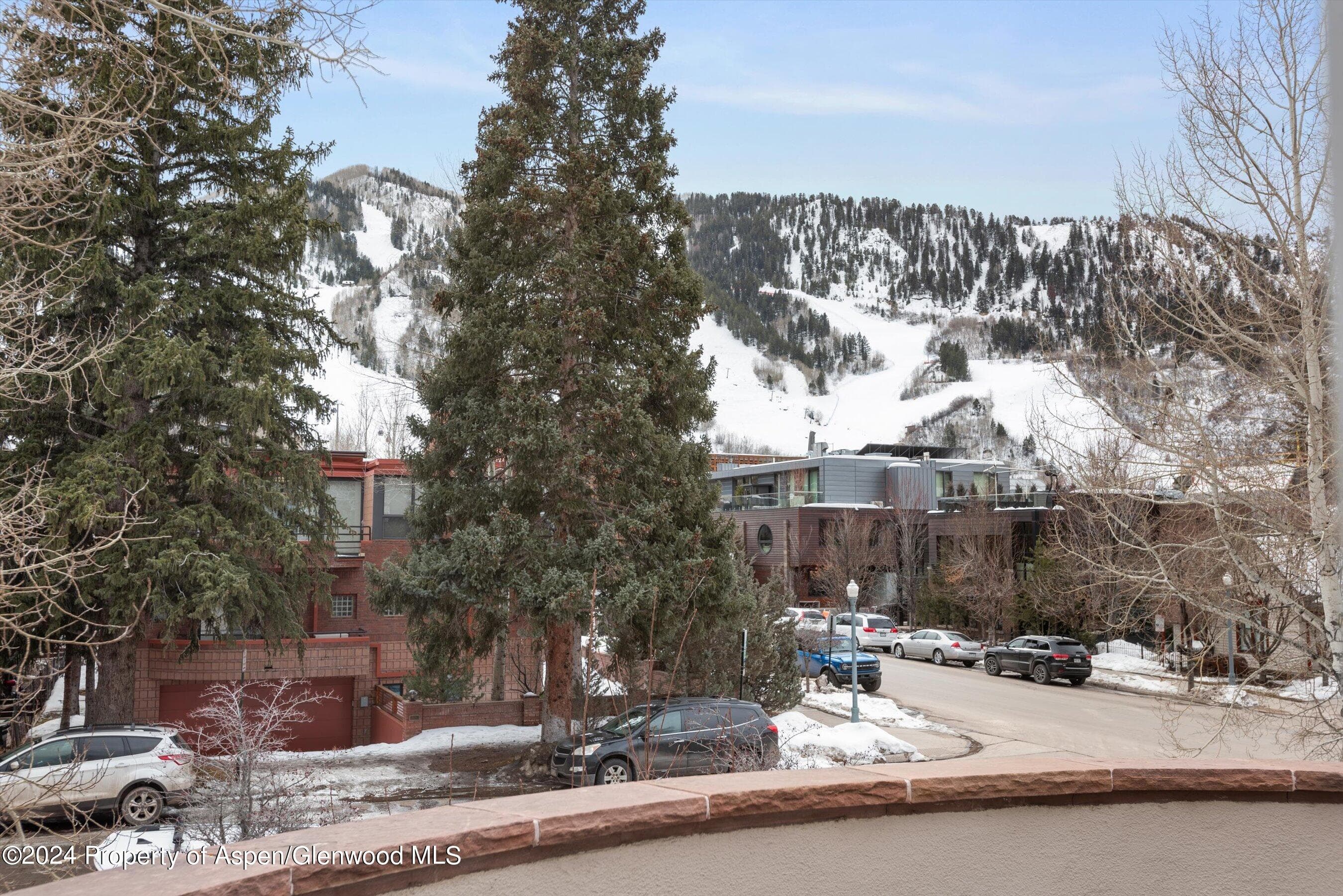 708 E Hopkins Avenue, Aspen, CO 81611 - Photo 4