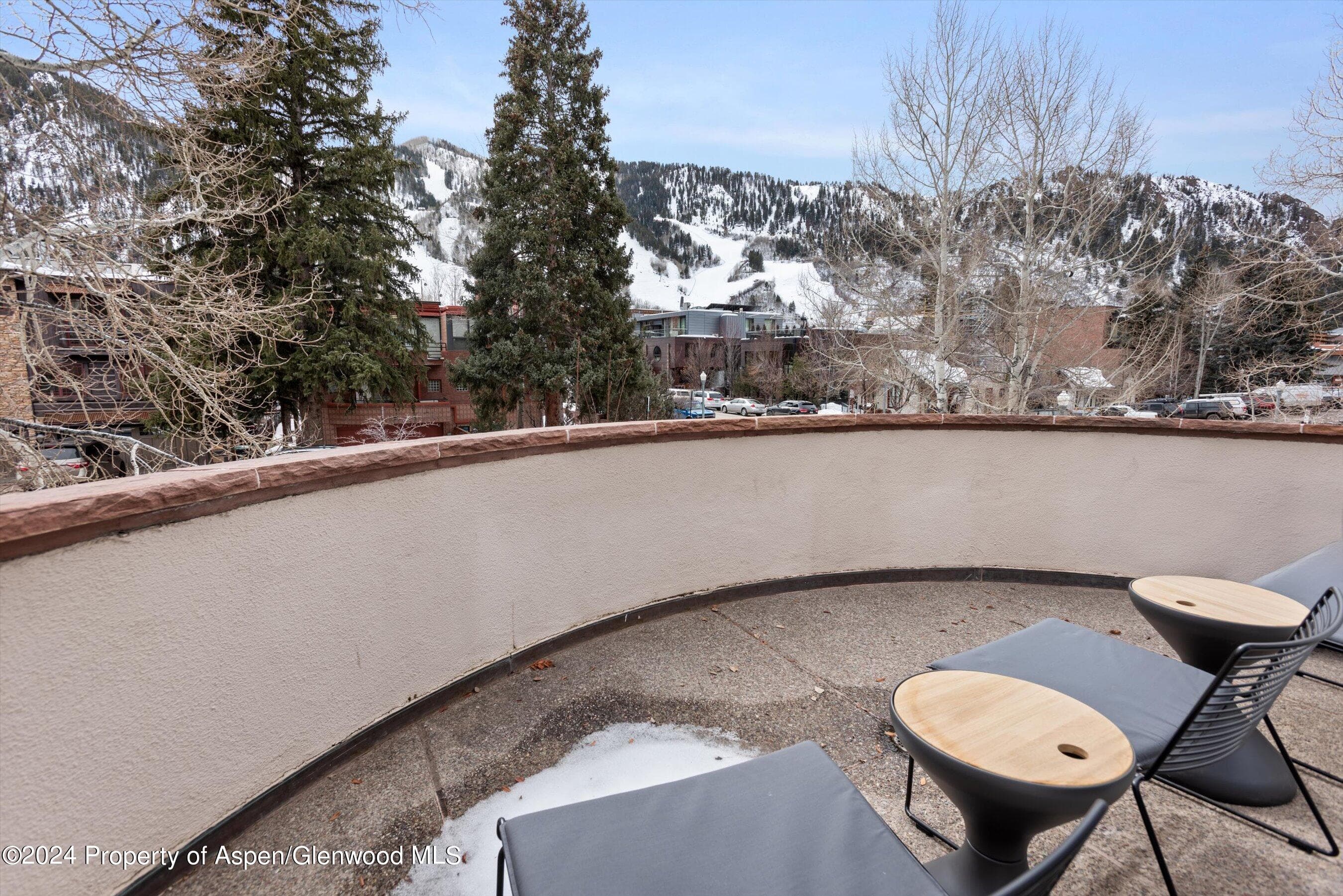 708 E Hopkins Avenue, Aspen, CO 81611 - Photo 5