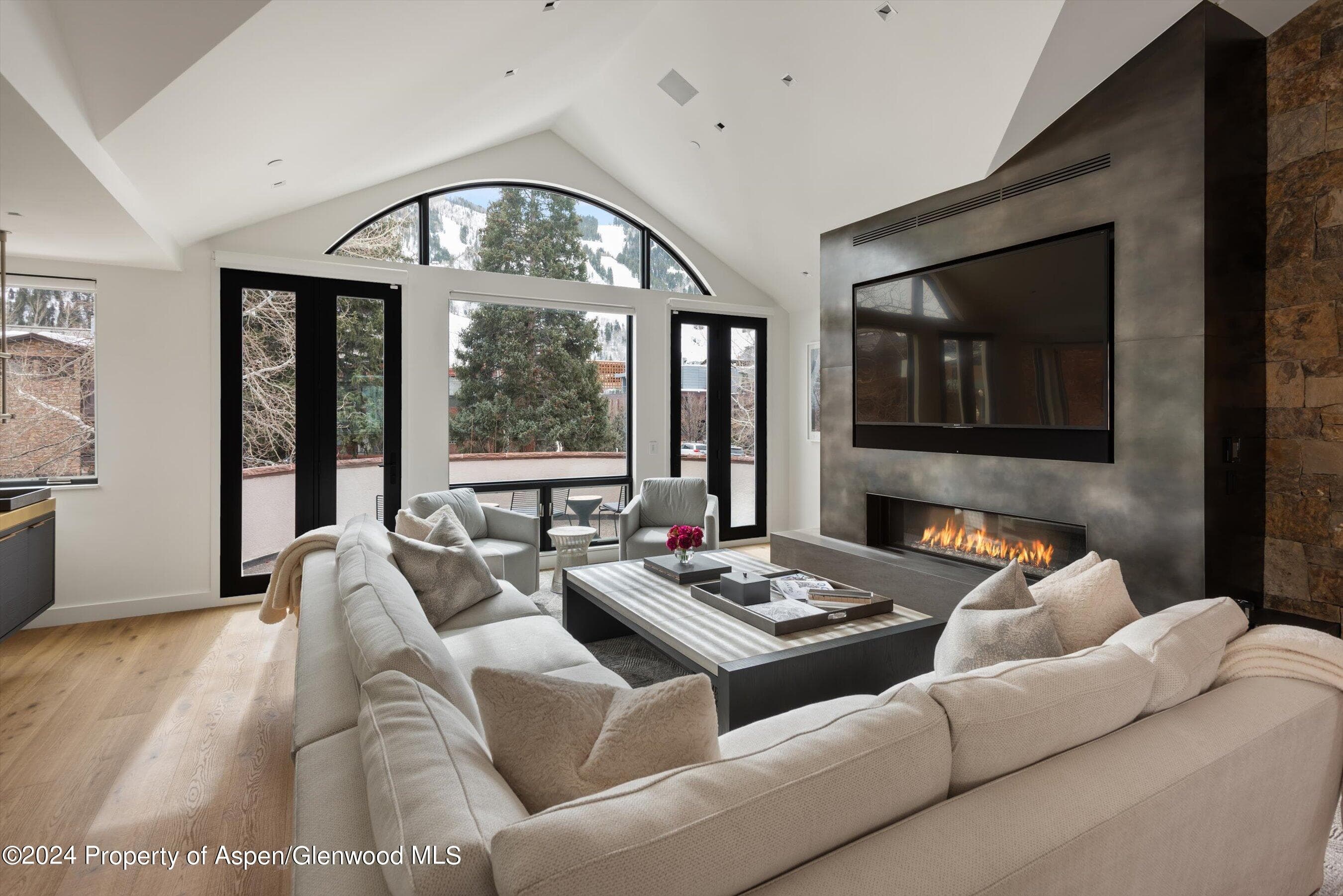 708 E Hopkins Avenue, Aspen, CO 81611 - Photo 9