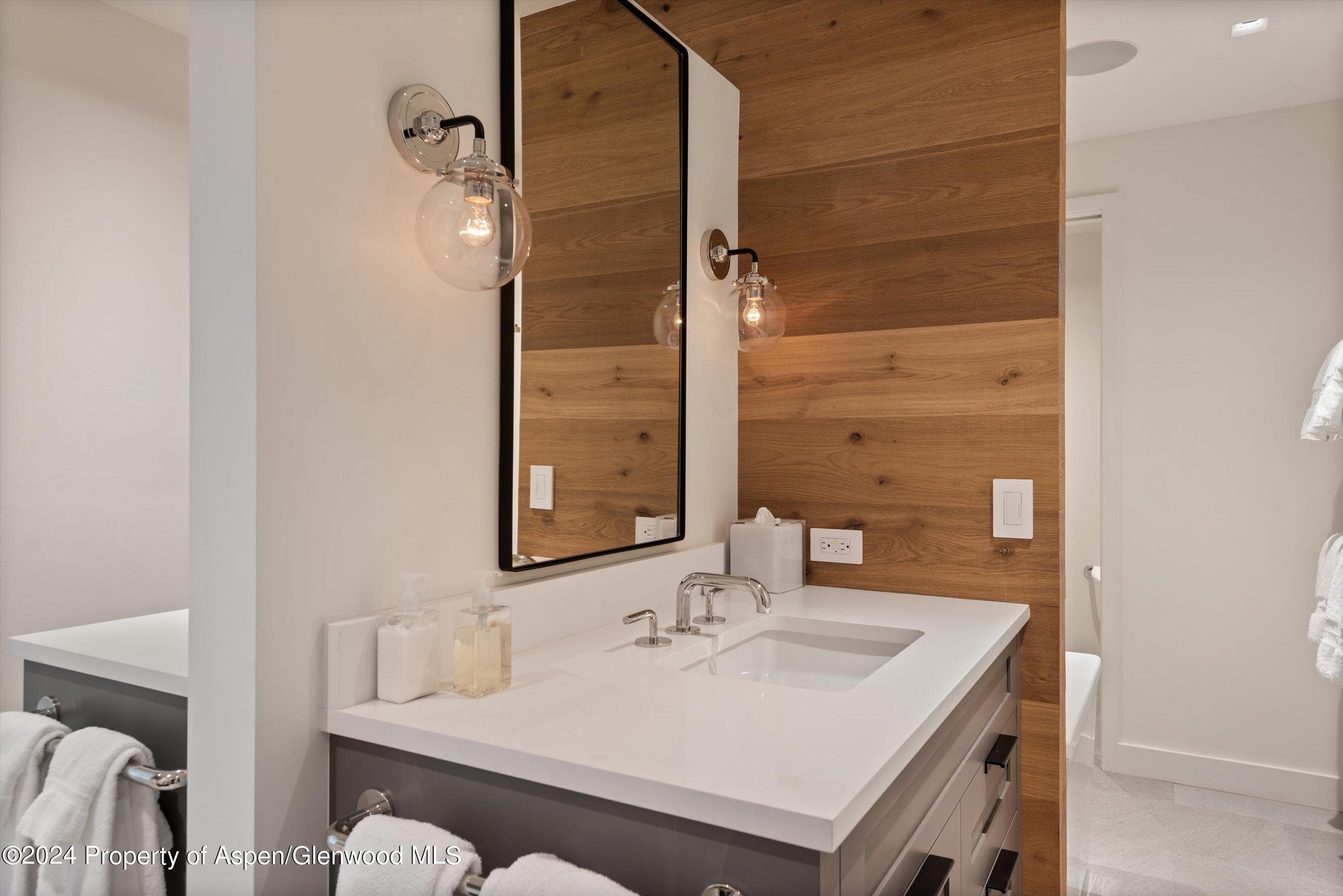 708 E Hopkins Avenue, Aspen, CO 81611 - Photo 39
