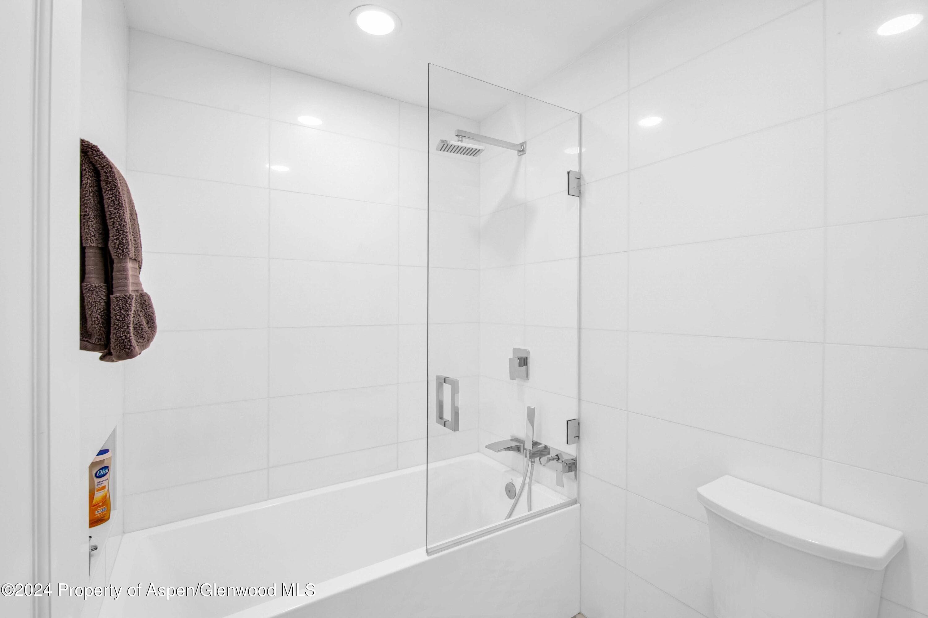 809 S Aspen Street 5&6, Aspen, CO 81611 - Photo 12