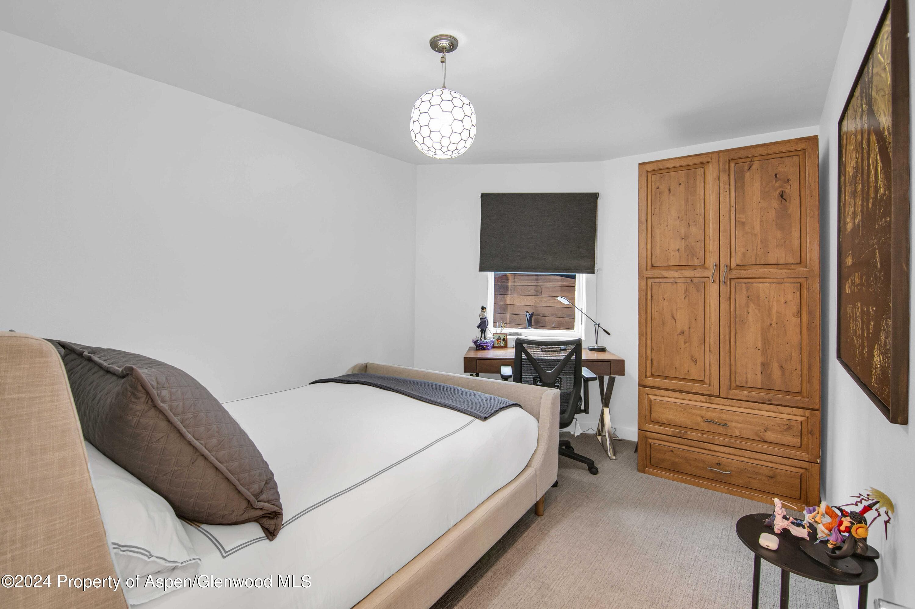 809 S Aspen Street 5&6, Aspen, CO 81611 - Photo 14