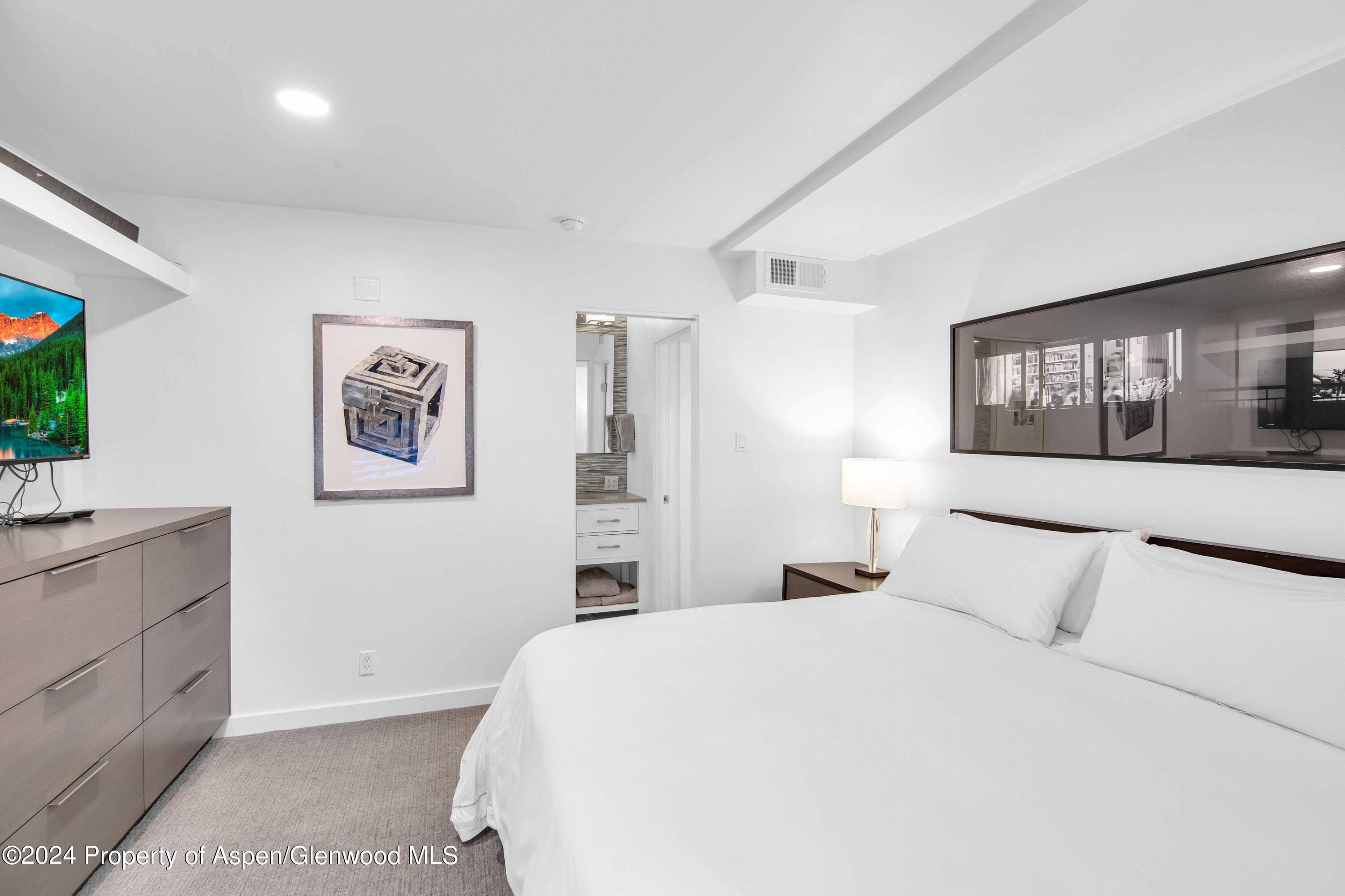 809 S Aspen Street 5&6, Aspen, CO 81611 - Photo 16