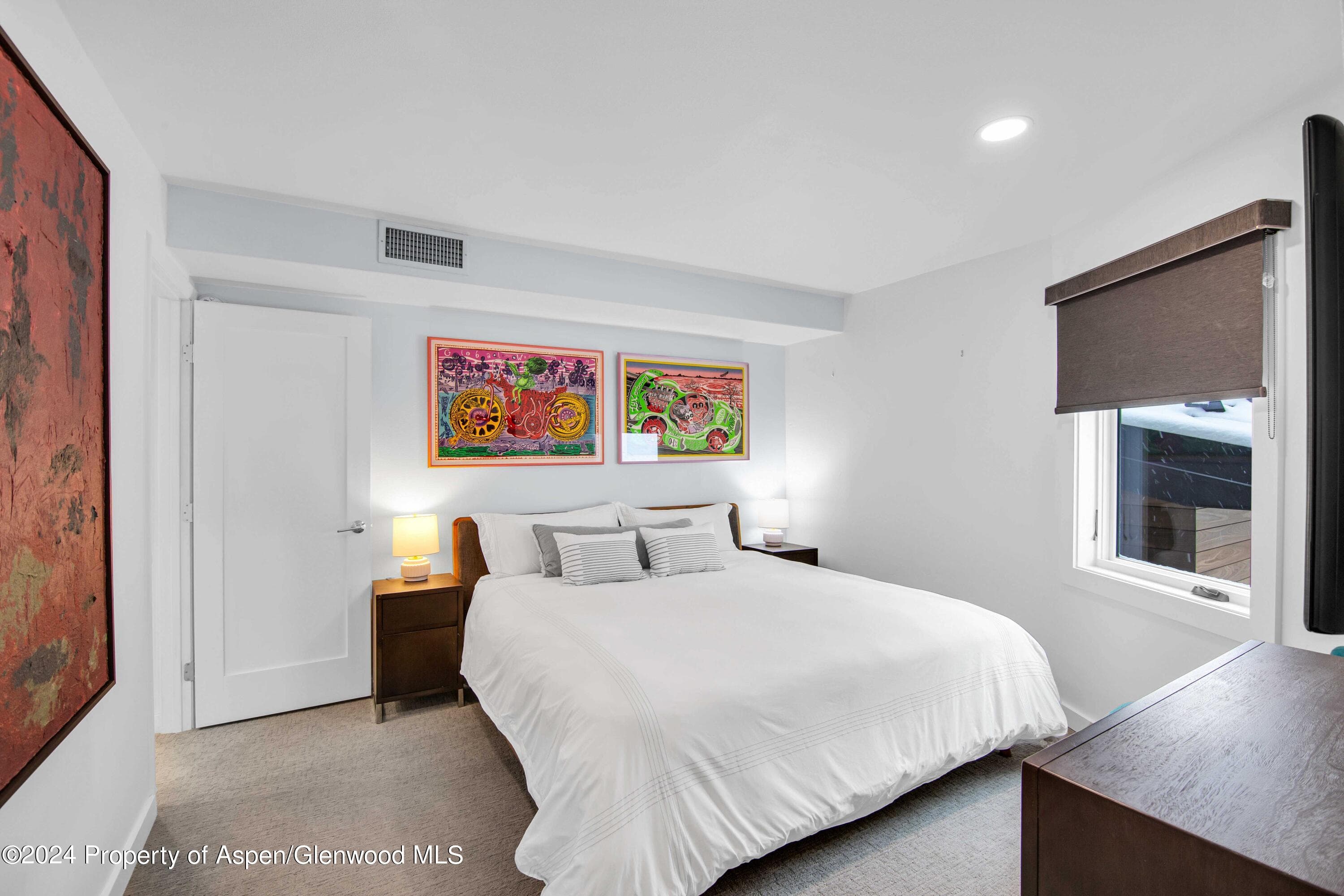 809 S Aspen Street 5&6, Aspen, CO 81611 - Photo 17