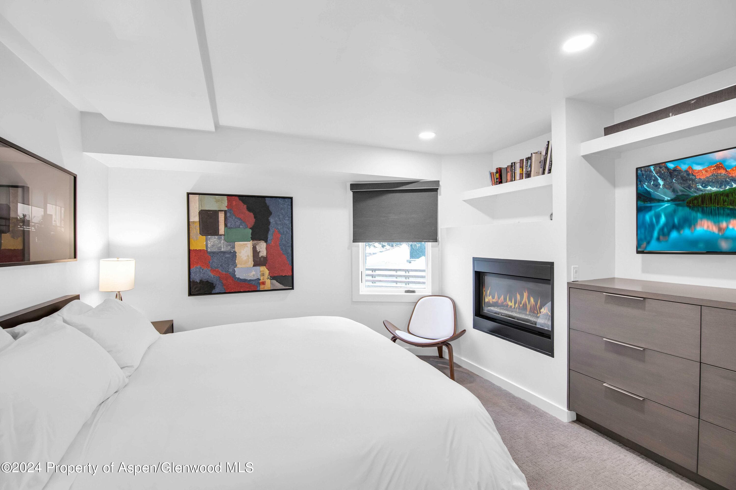 809 S Aspen Street 5&6, Aspen, CO 81611 - Photo 19