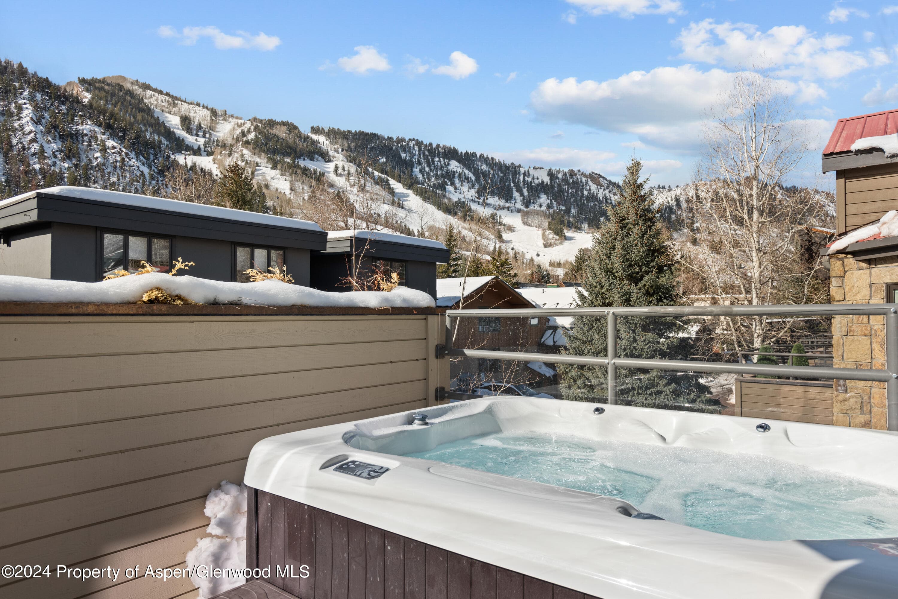 927 E Durant Avenue 3, Aspen, CO 81611 - Photo 40