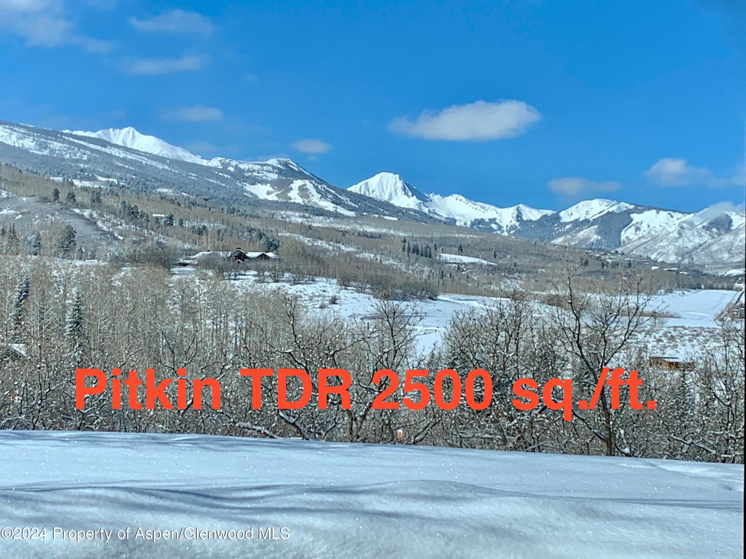 1 TDR, Aspen, CO 81611