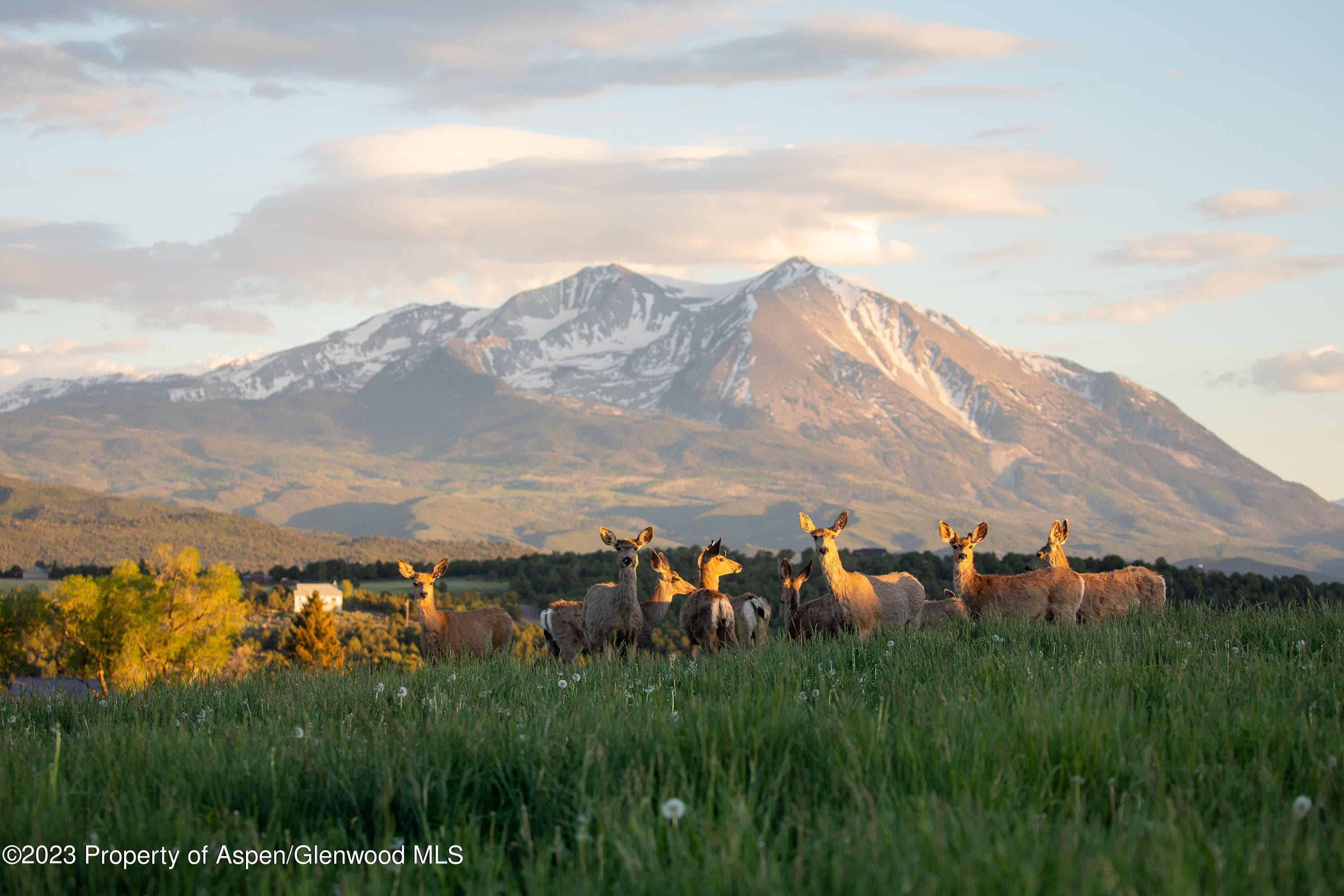 1900 Co Rd 103, Carbondale, CO 81623 - Photo 29