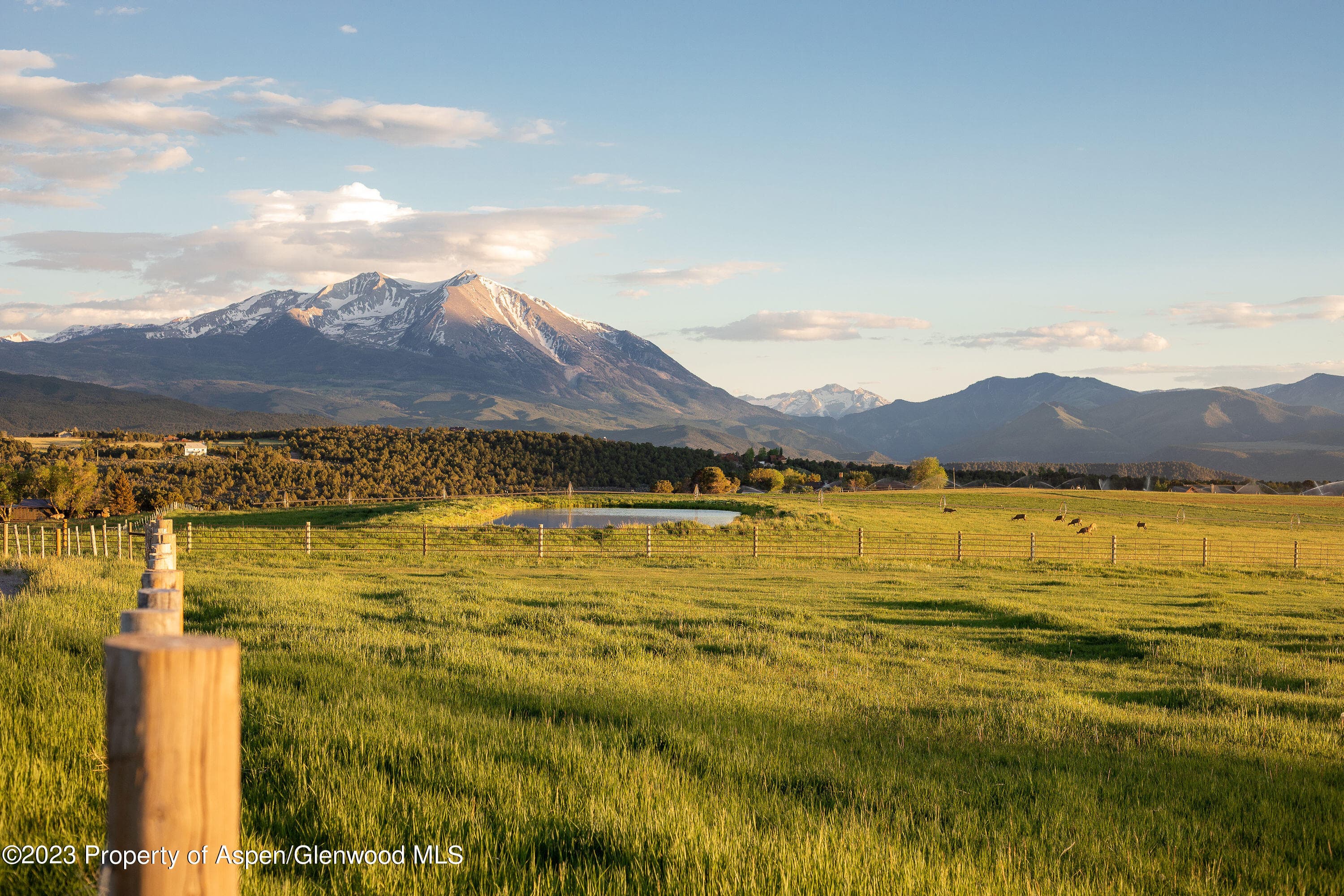 1900 Co Rd 103, Carbondale, CO 81623 - Photo 30